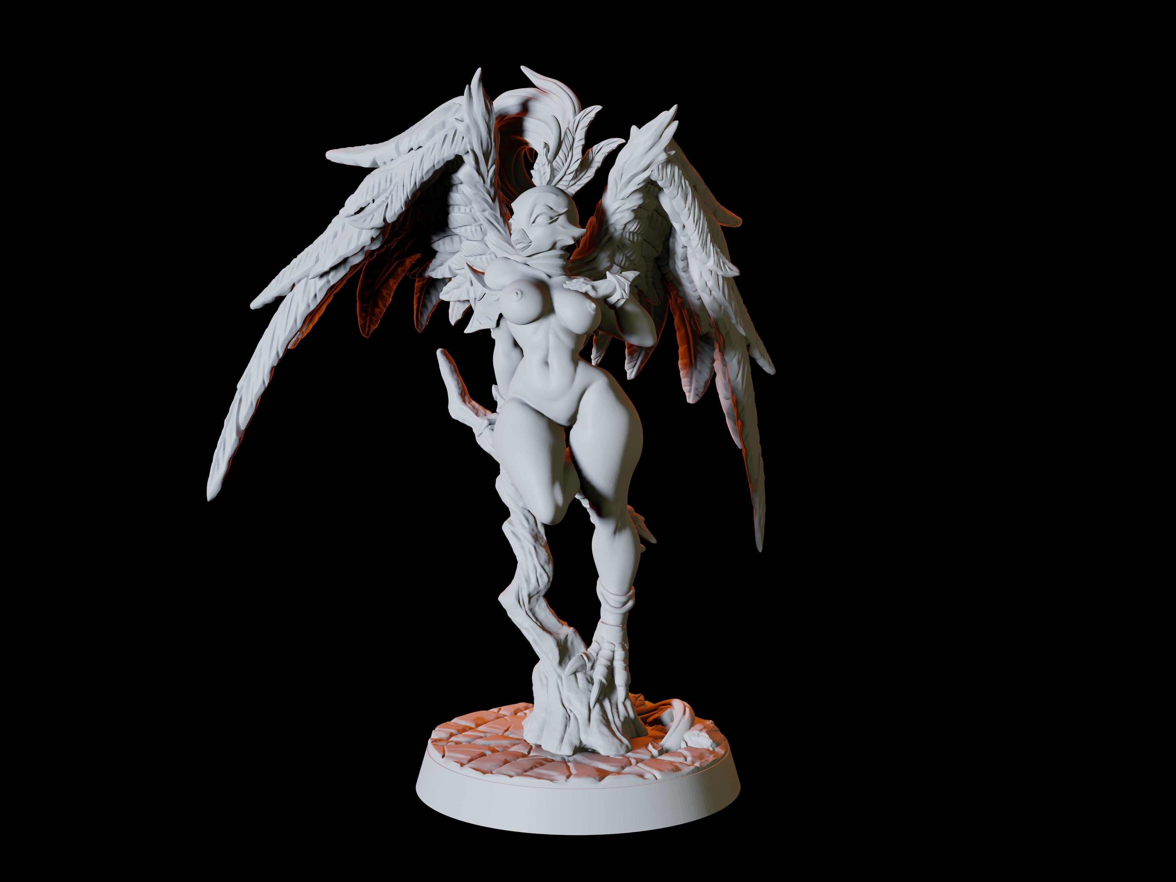 Aarakocra Pin-up Miniature for Dungeons and Dragons, Pathfinder or other TTRPGs