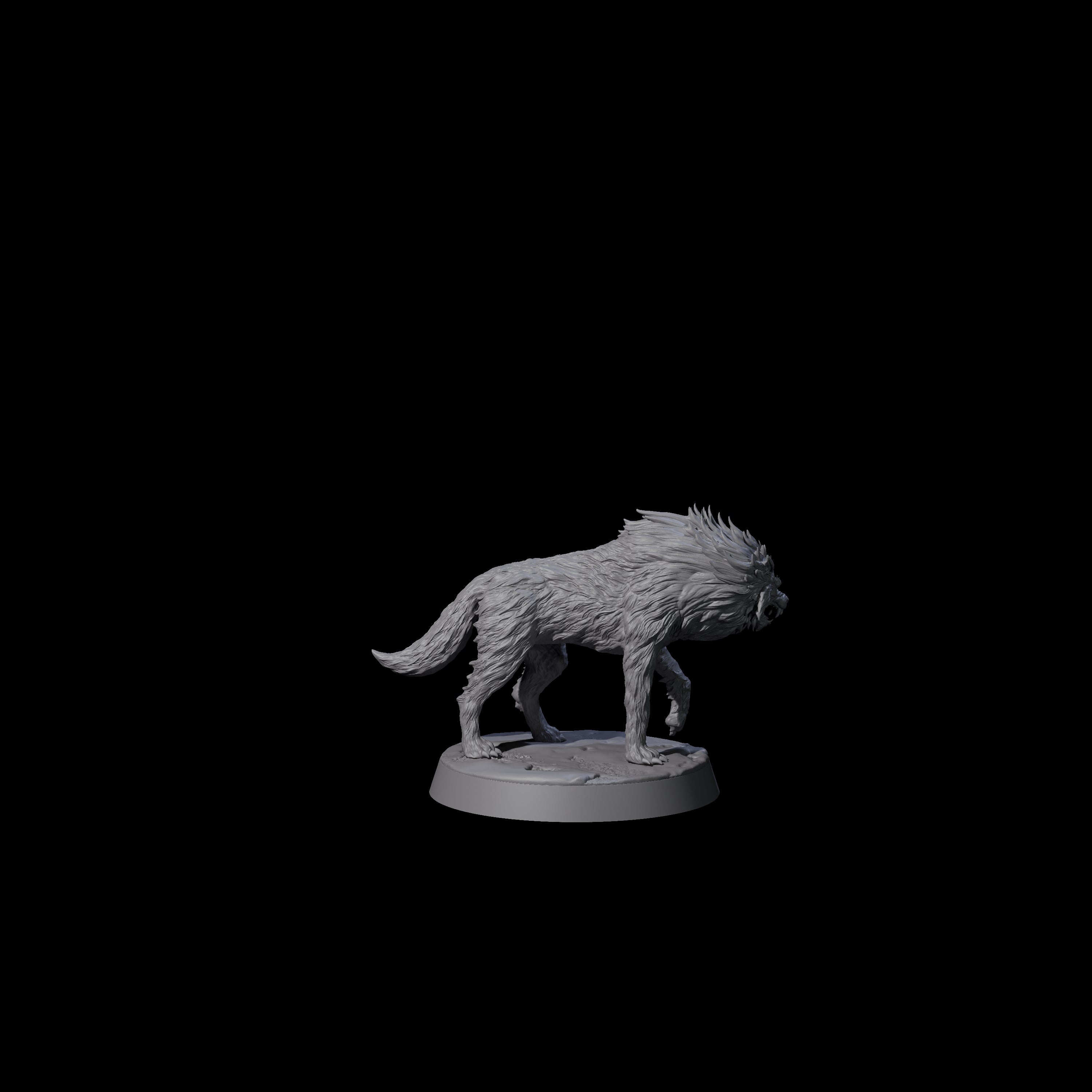Angry Young Wolf Miniature for Dungeons and Dragons, Pathfinder or other TTRPGs