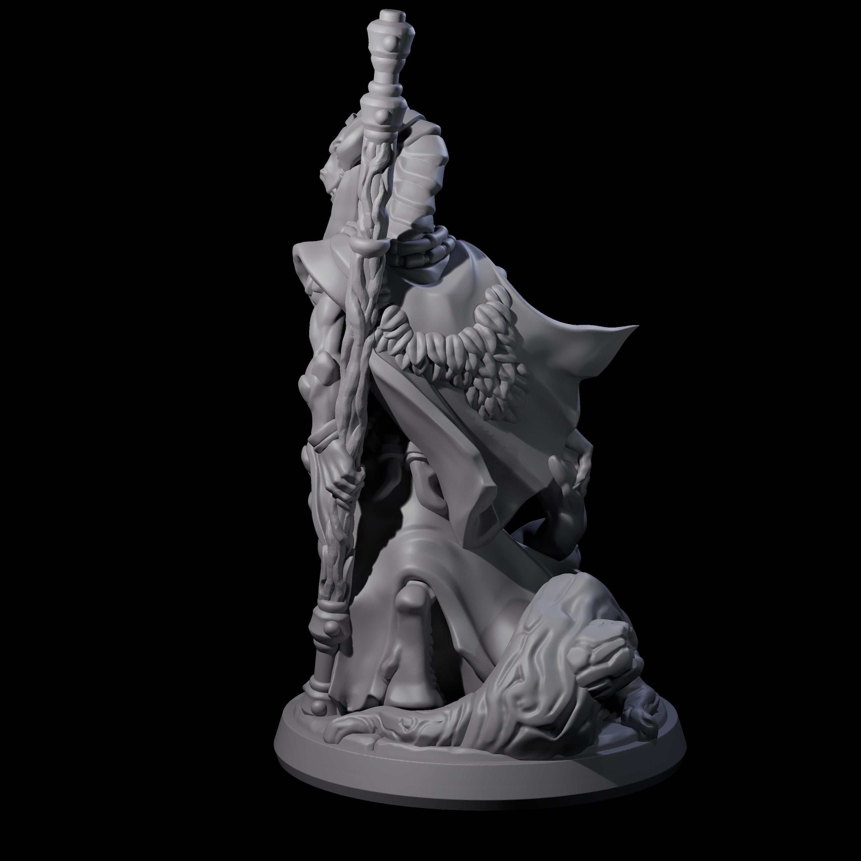 Elegant Dragonborn Druid Miniature for Dungeons and Dragons, Pathfinder or other TTRPGs