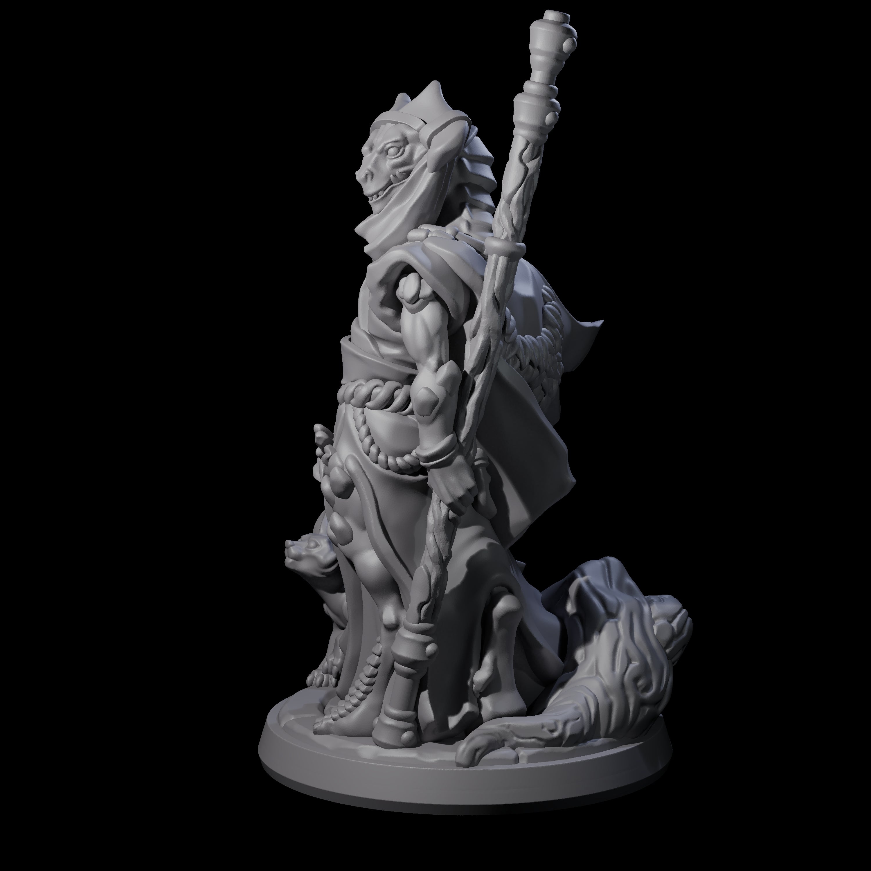 Elegant Dragonborn Druid Miniature for Dungeons and Dragons, Pathfinder or other TTRPGs