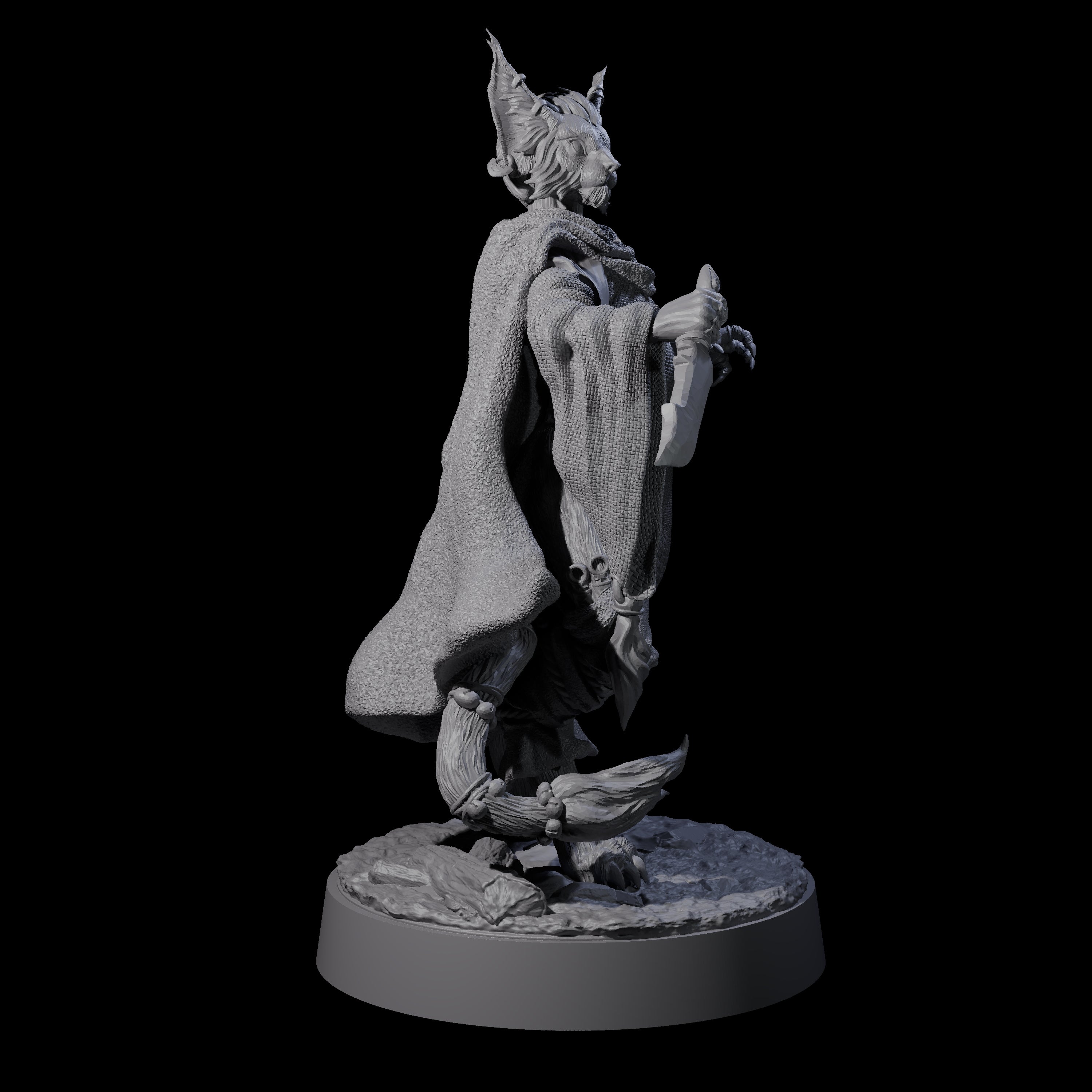 Robed Tabaxi Rogue A Miniature for Dungeons and Dragons, Pathfinder or other TTRPGs