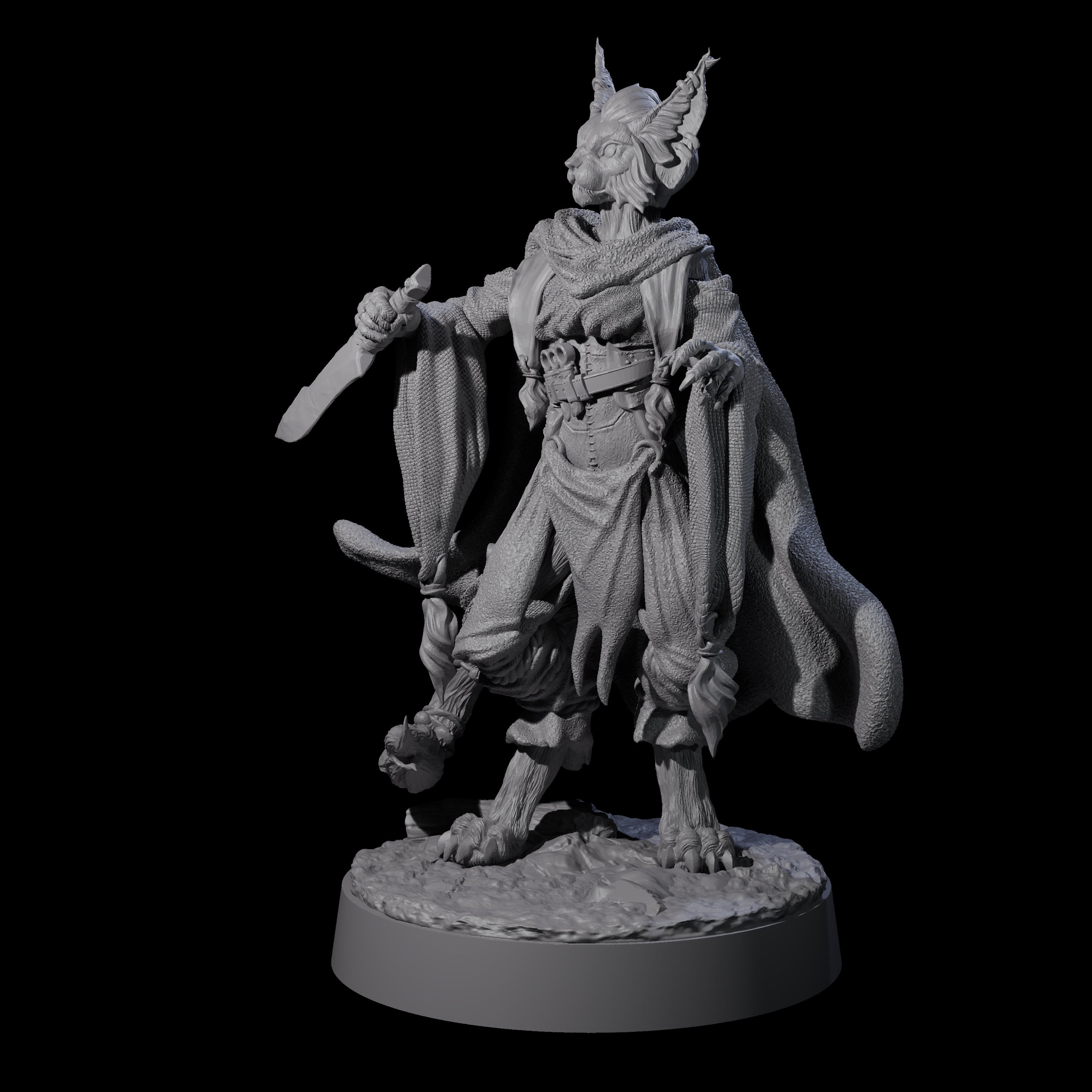 Robed Tabaxi Rogue A Miniature for Dungeons and Dragons, Pathfinder or other TTRPGs