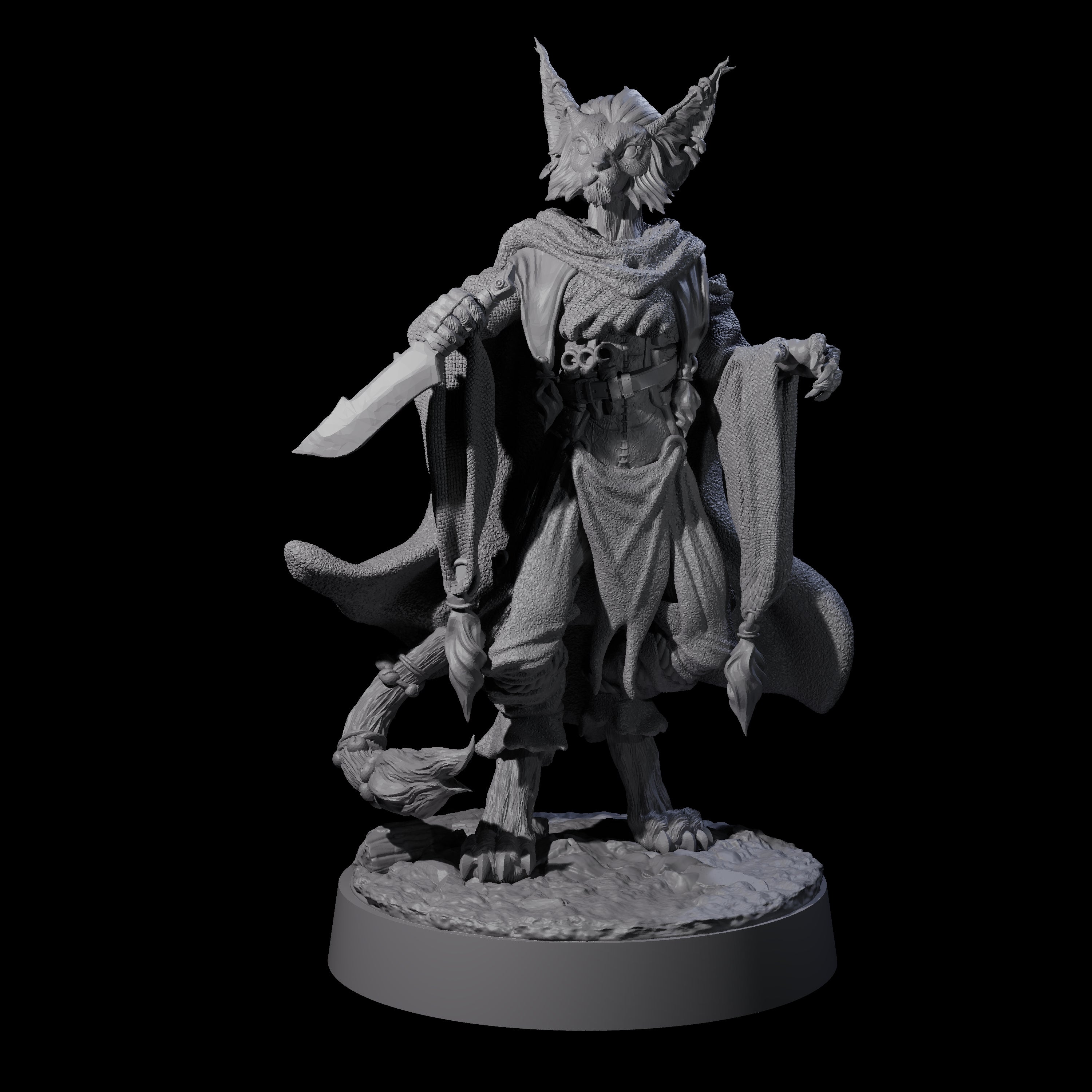 Robed Tabaxi Rogue A Miniature for Dungeons and Dragons, Pathfinder or other TTRPGs