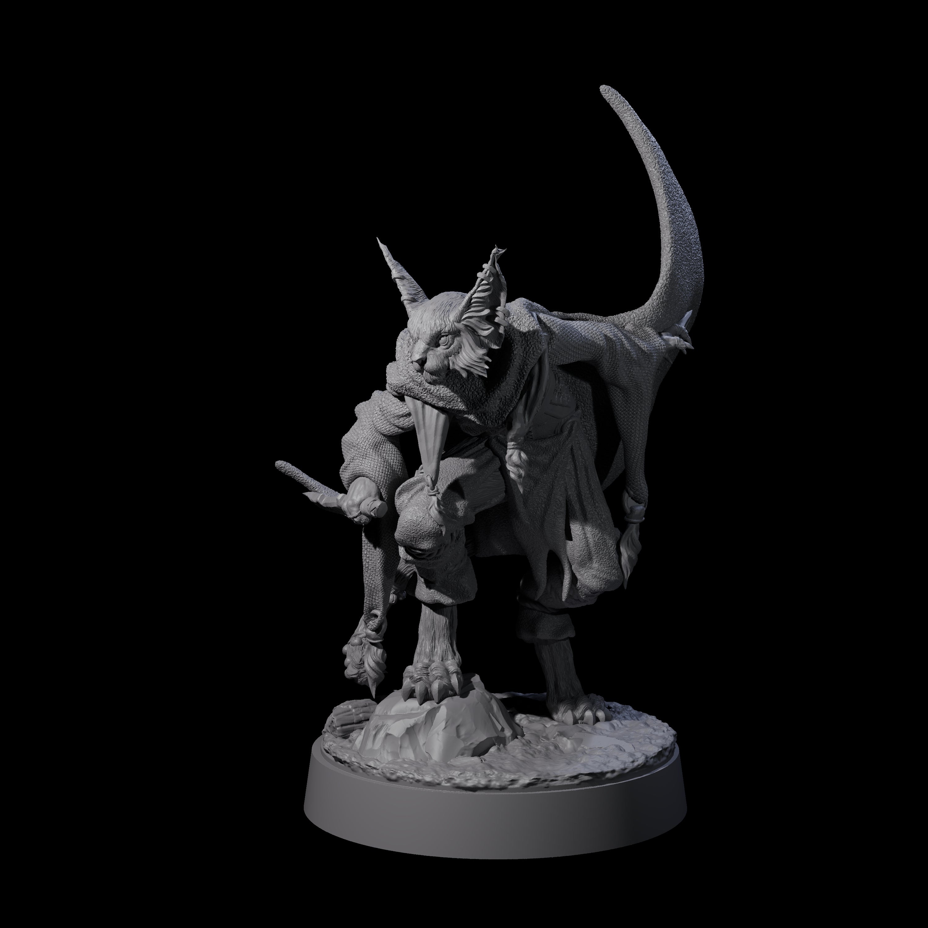 Robed Tabaxi Rogue B Miniature for Dungeons and Dragons, Pathfinder or other TTRPGs