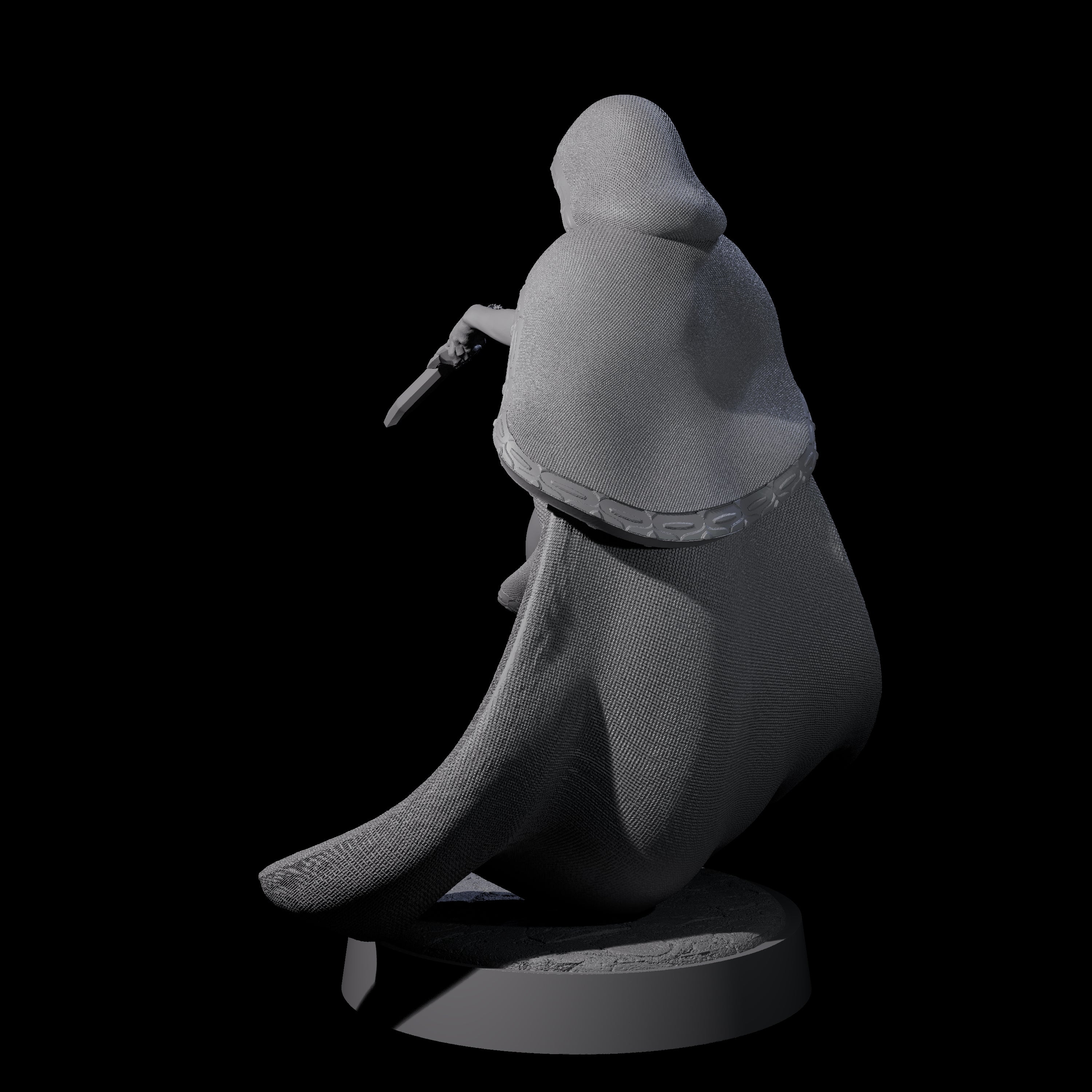 Twisted Blood Maiden C Miniature for Dungeons and Dragons, Pathfinder or other TTRPGs