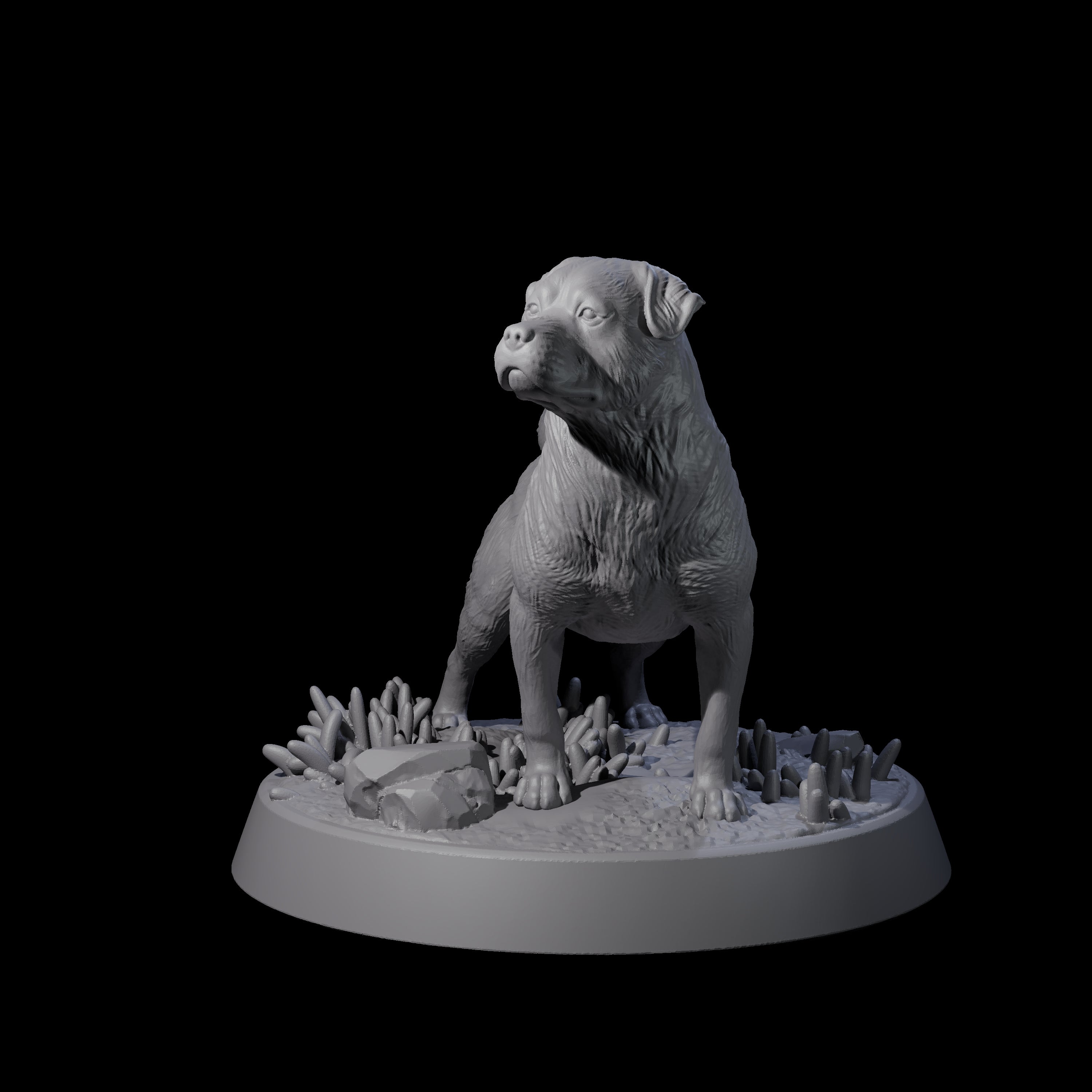 Vigilant Guard Dog A Miniature for Dungeons and Dragons, Pathfinder or other TTRPGs