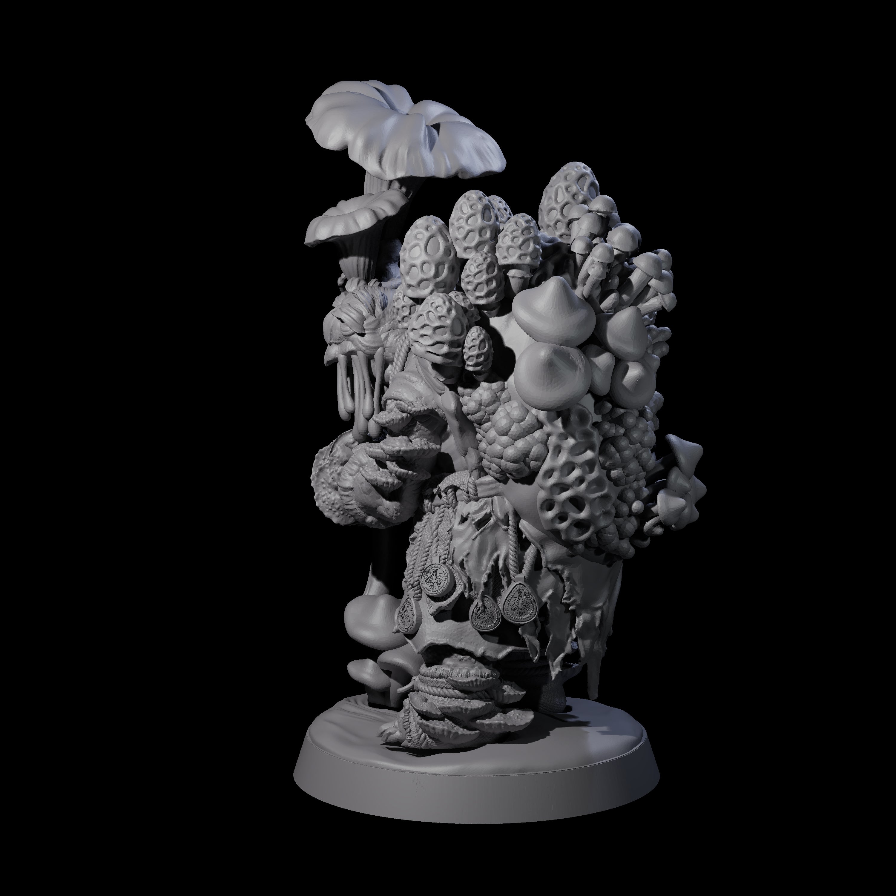 Wise Fungal Tortle Sage Miniature for Dungeons and Dragons, Pathfinder or other TTRPGs
