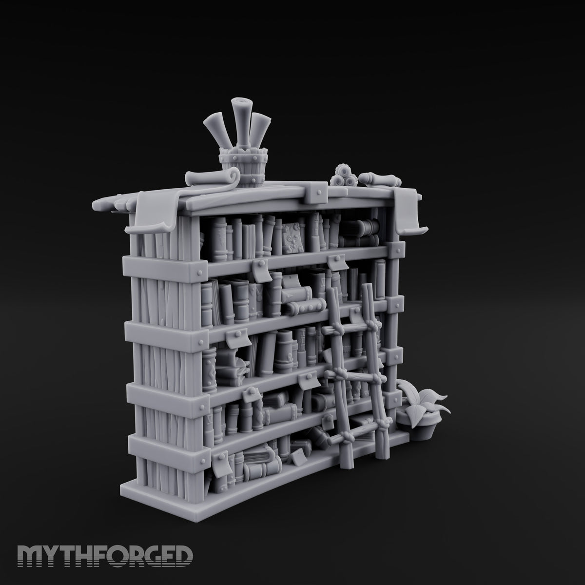 Overstuffed Library Bookshelves — C