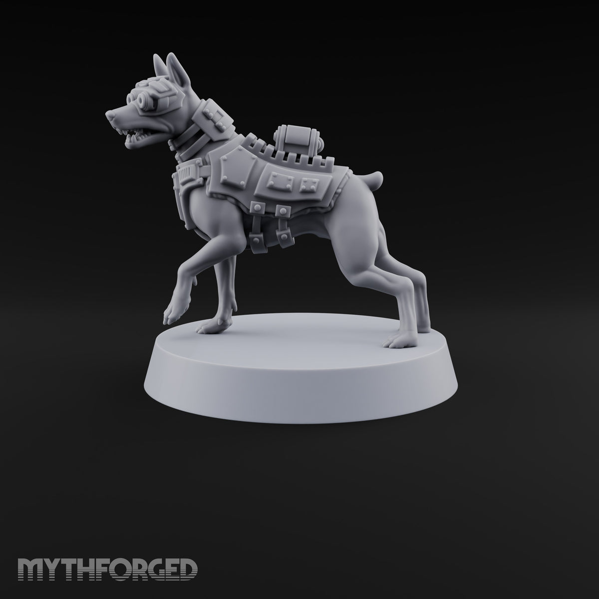 Pointing the Way Human and War Dog Team Member C