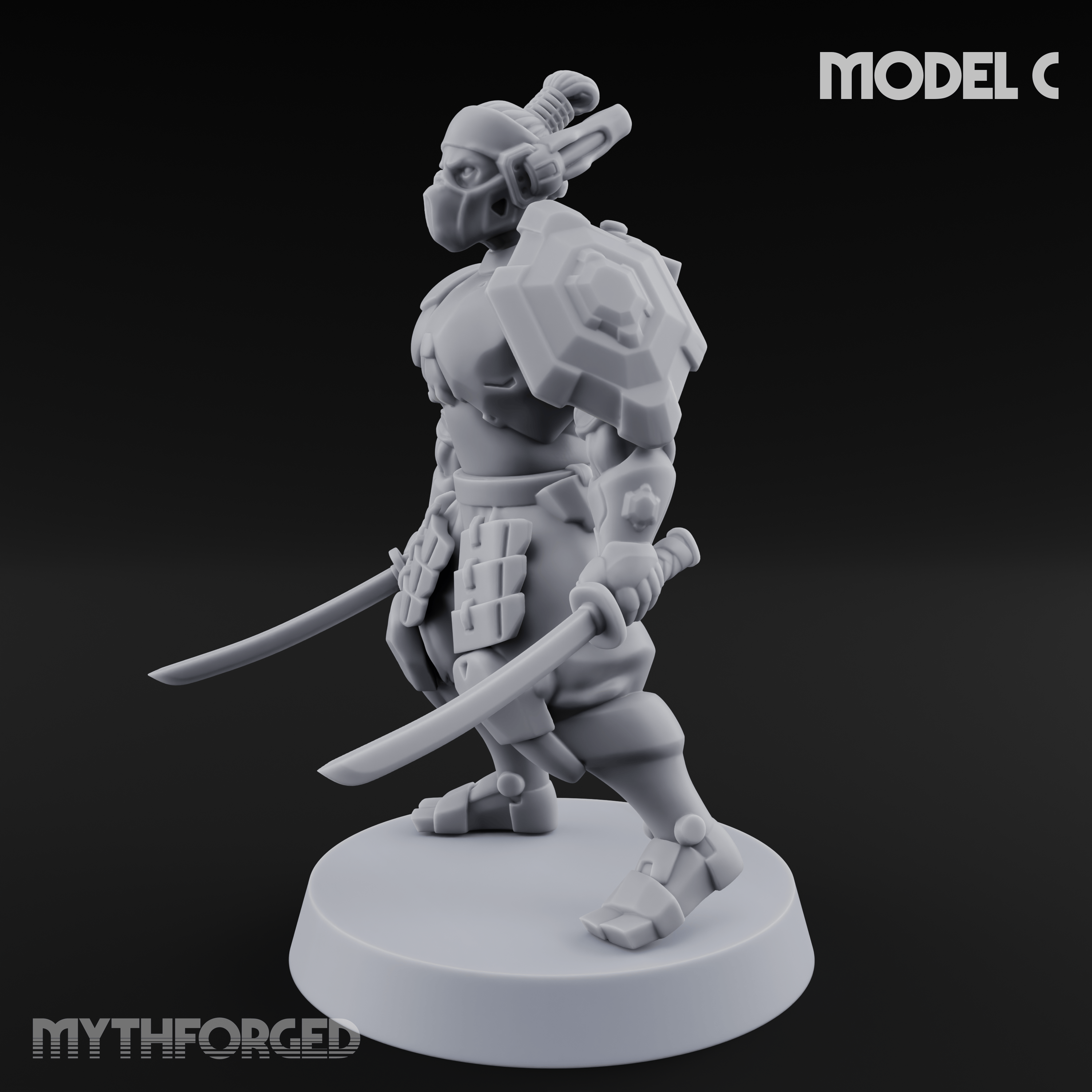 Locked And Loaded Cyber Ninjas C