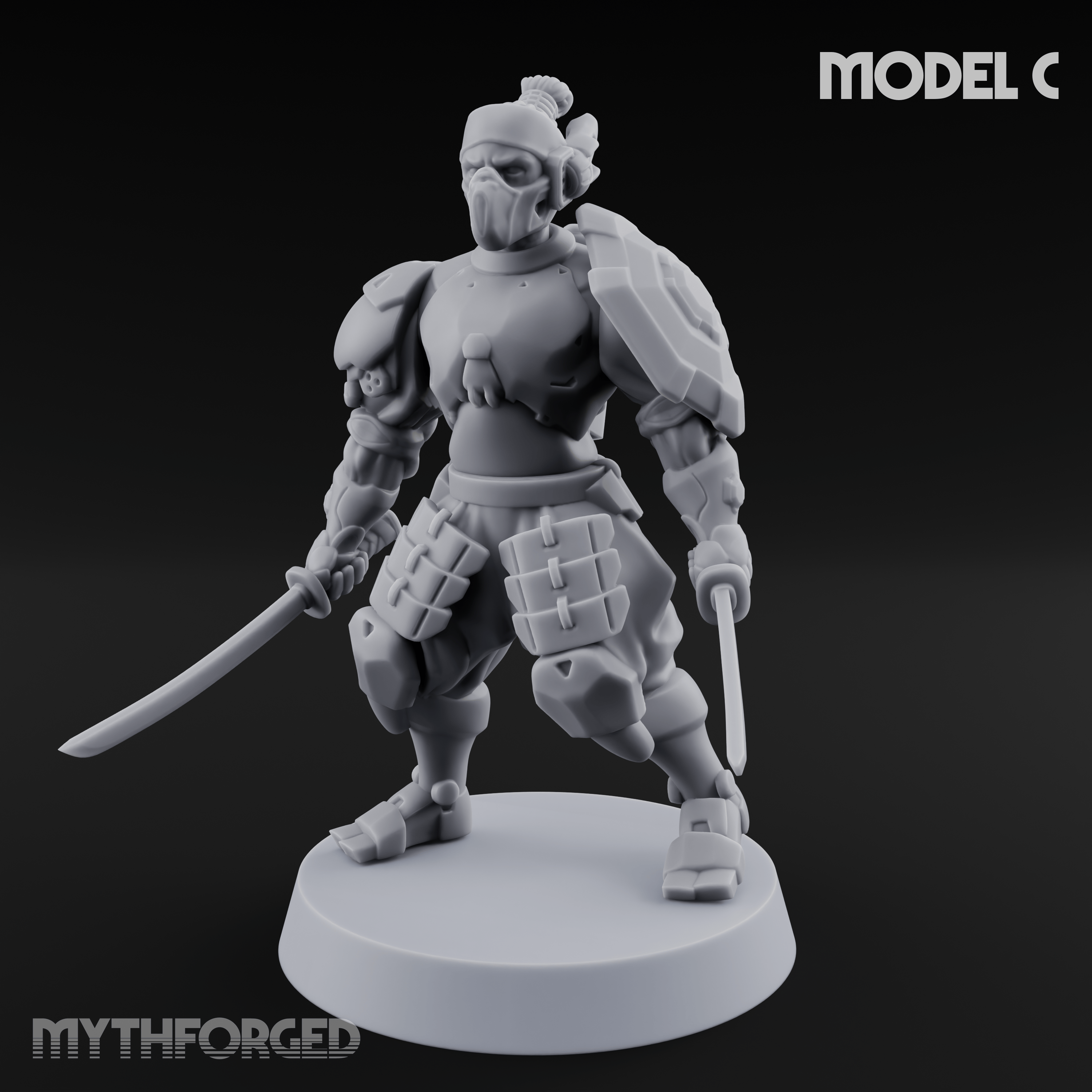 Locked And Loaded Cyber Ninjas C