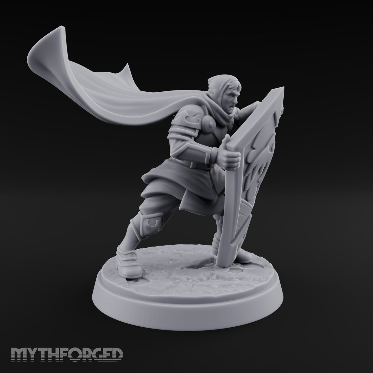 Braced Against the Gale Human Shield Knight