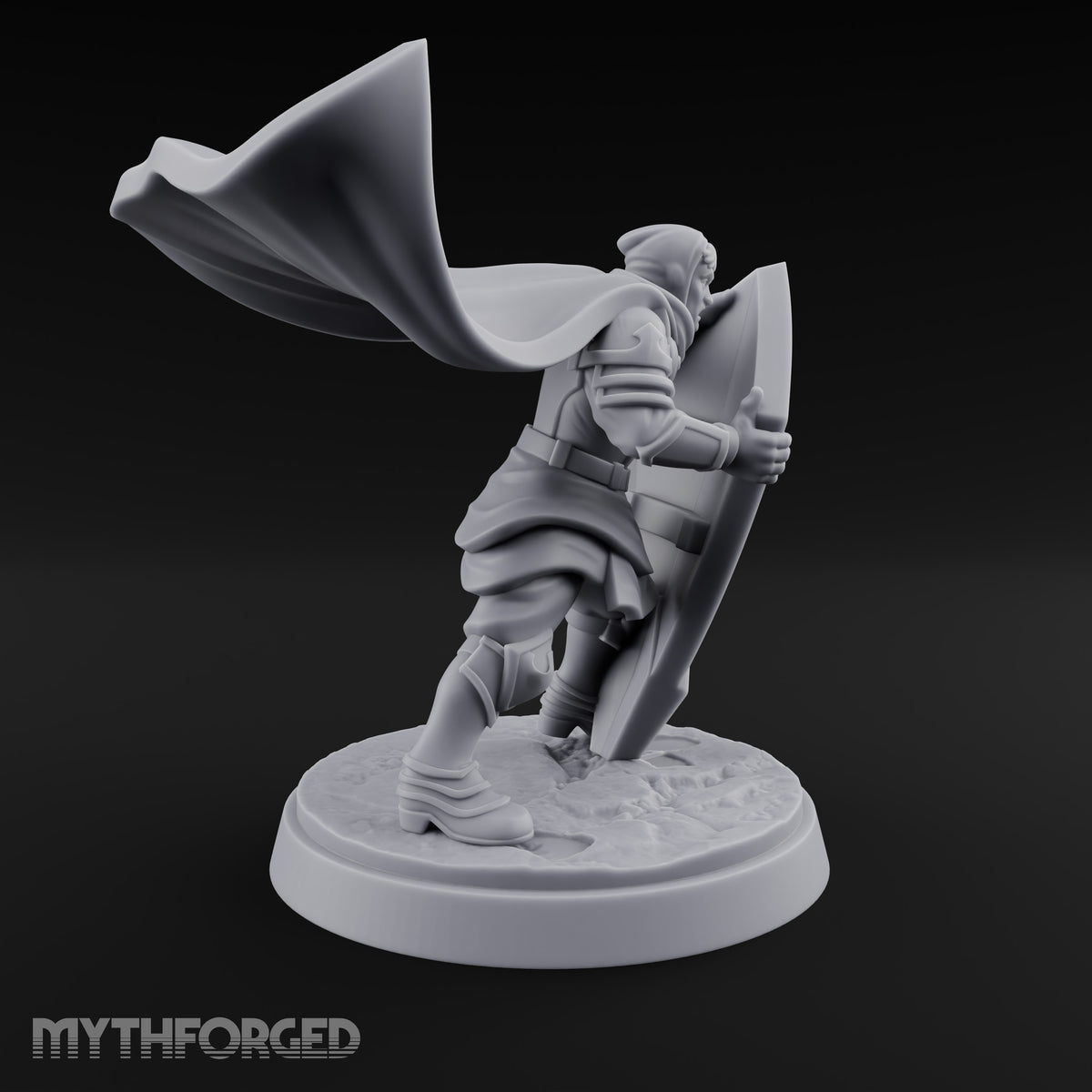 Braced Against the Gale Human Shield Knight