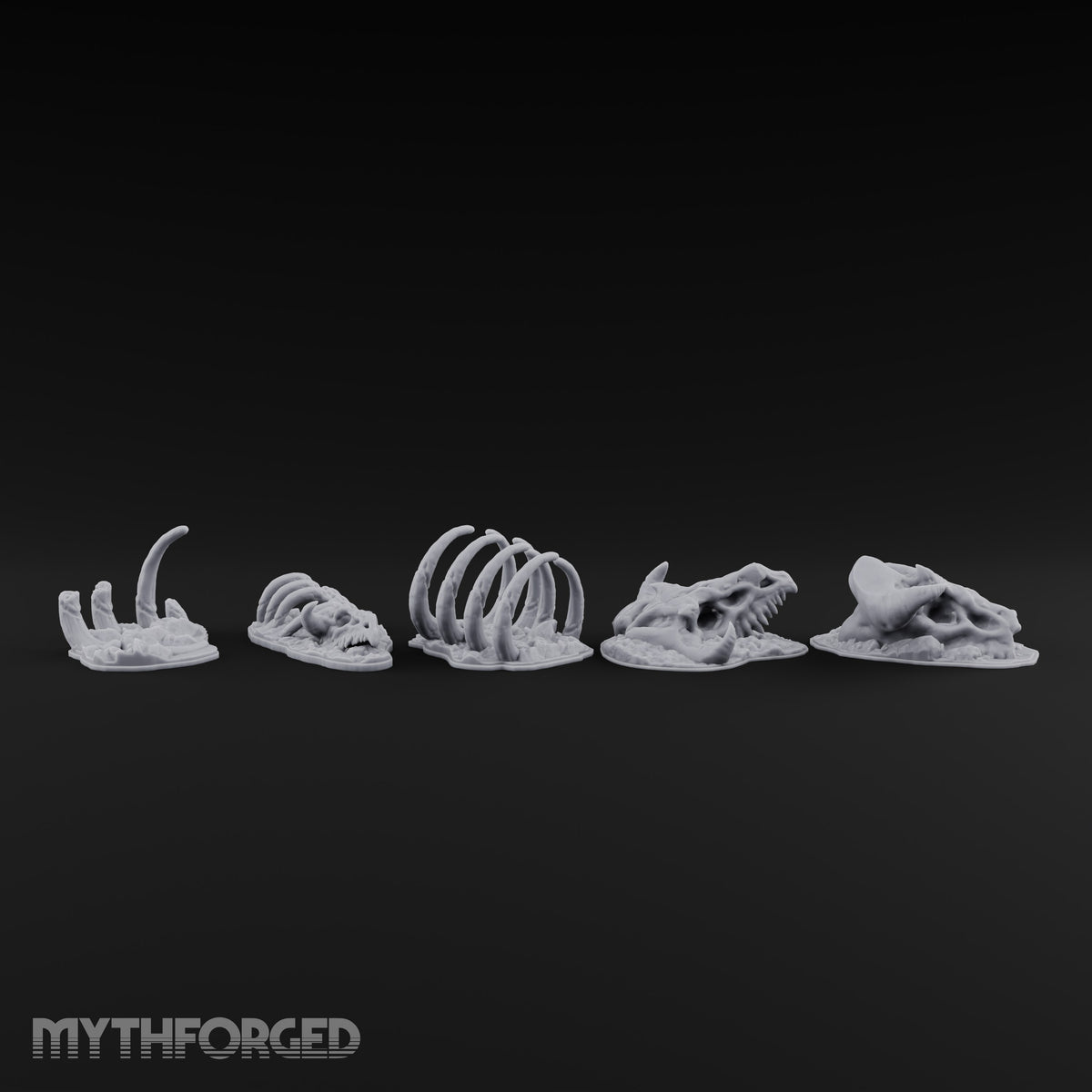 Picked Over and Proud Dragon Skeleton Remains