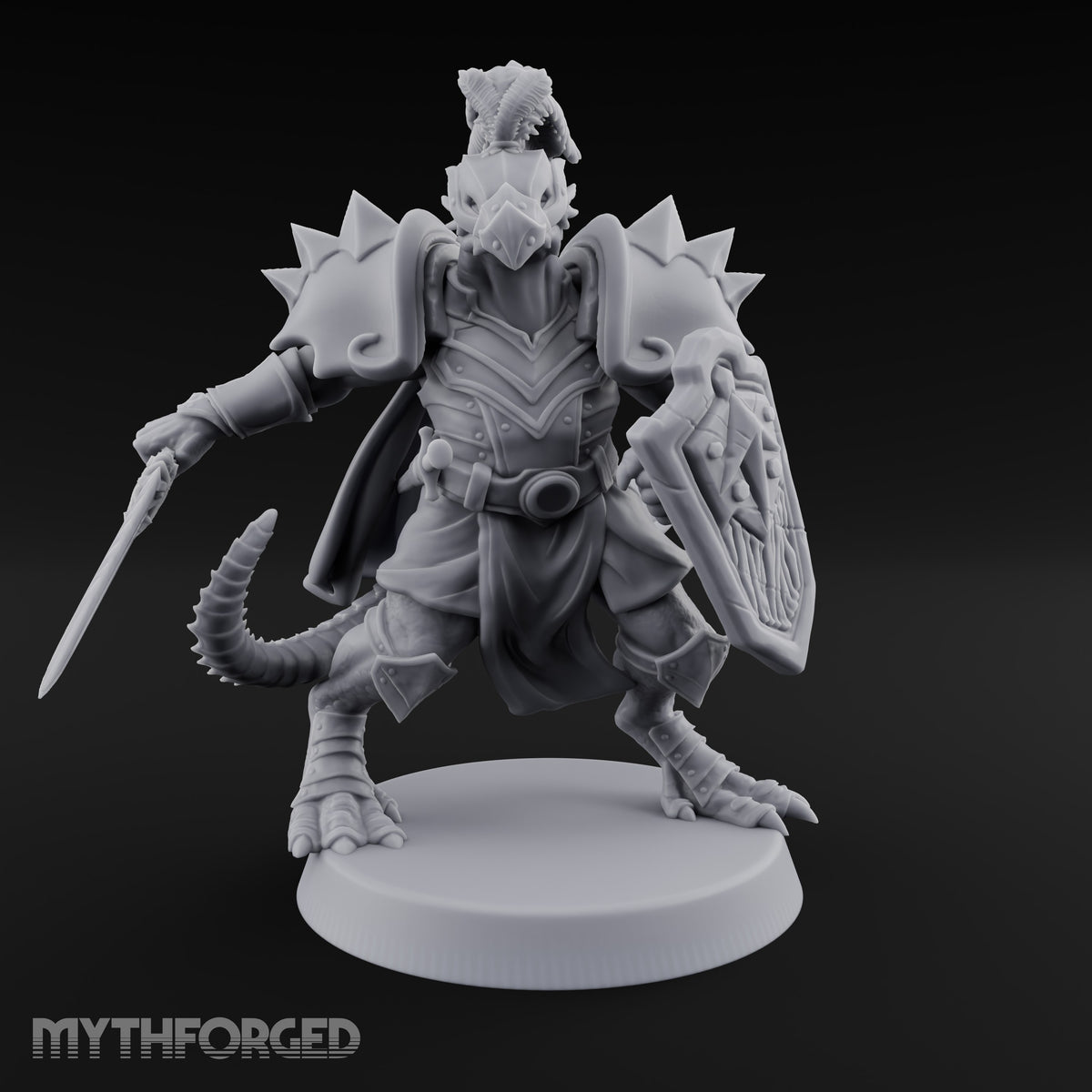 Shield Braced Dragonborn Champion