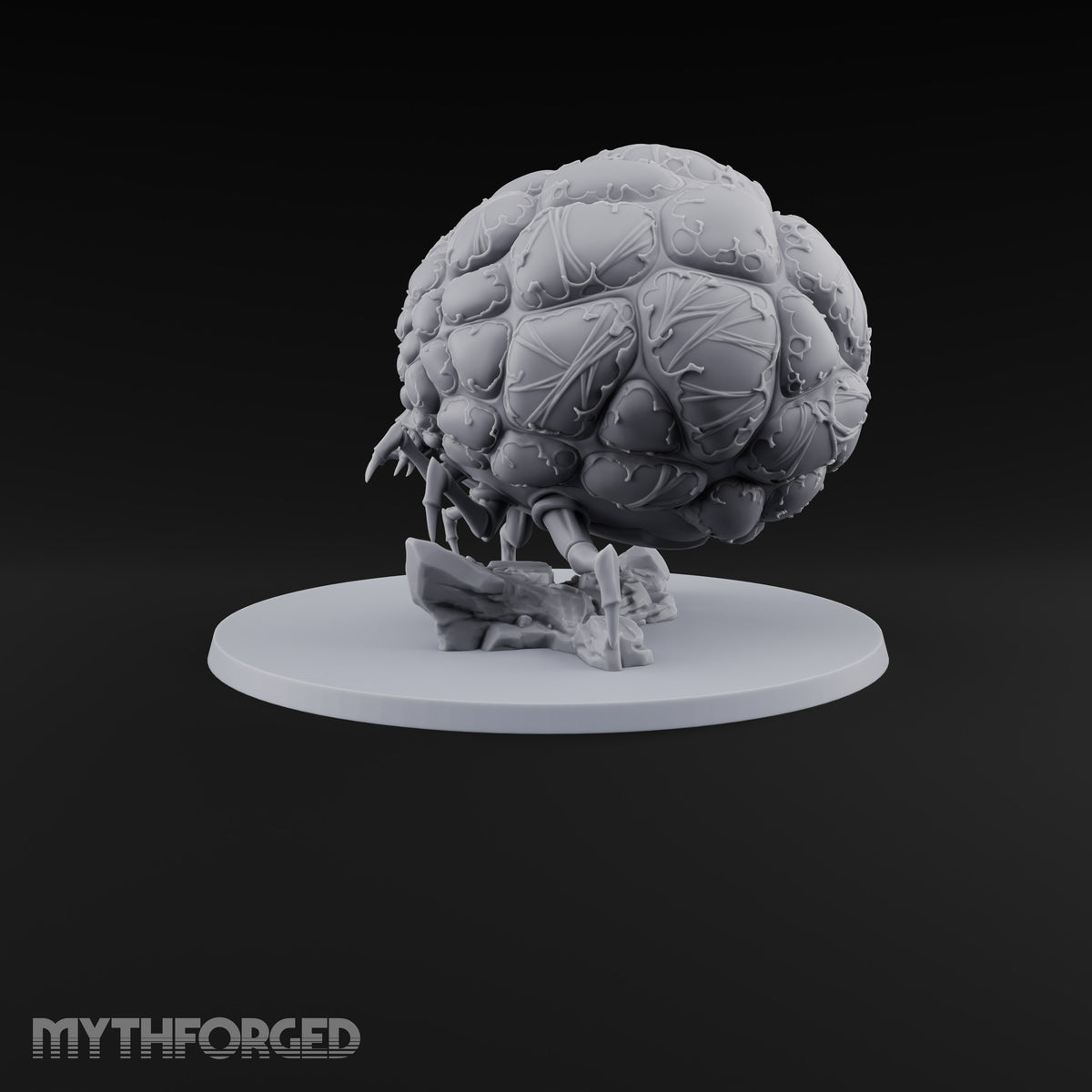 A Tick Away From Bursting Giant Tick with Bloated Lumpy Abdomen