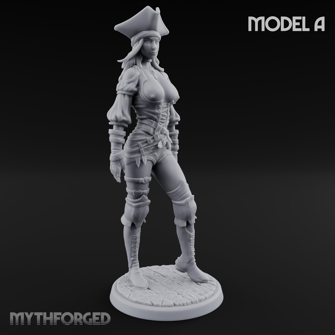 Ruling The Seas Pirates — A gallery 1