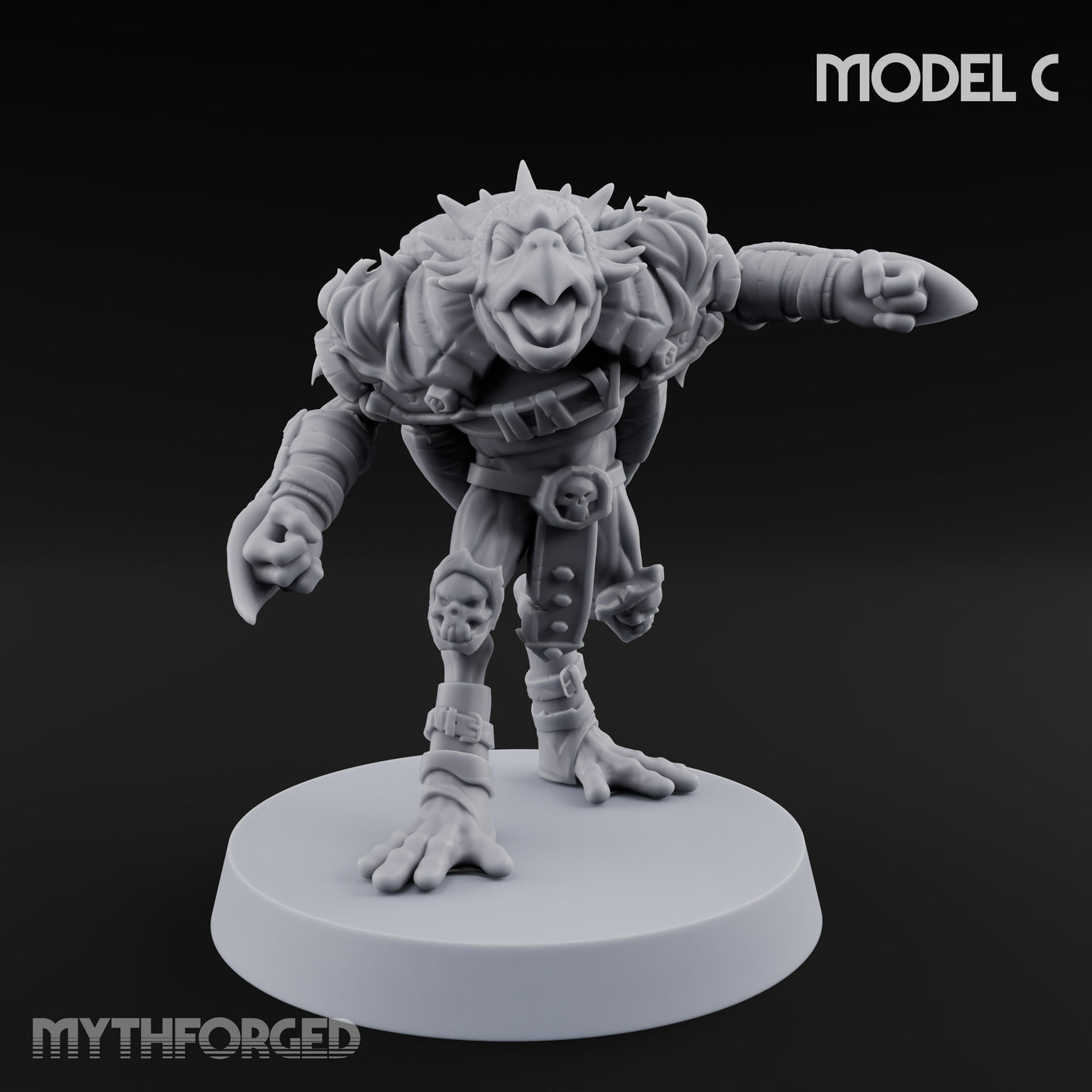 Shell Shocked Brawling Tortle Fighter C gallery 1