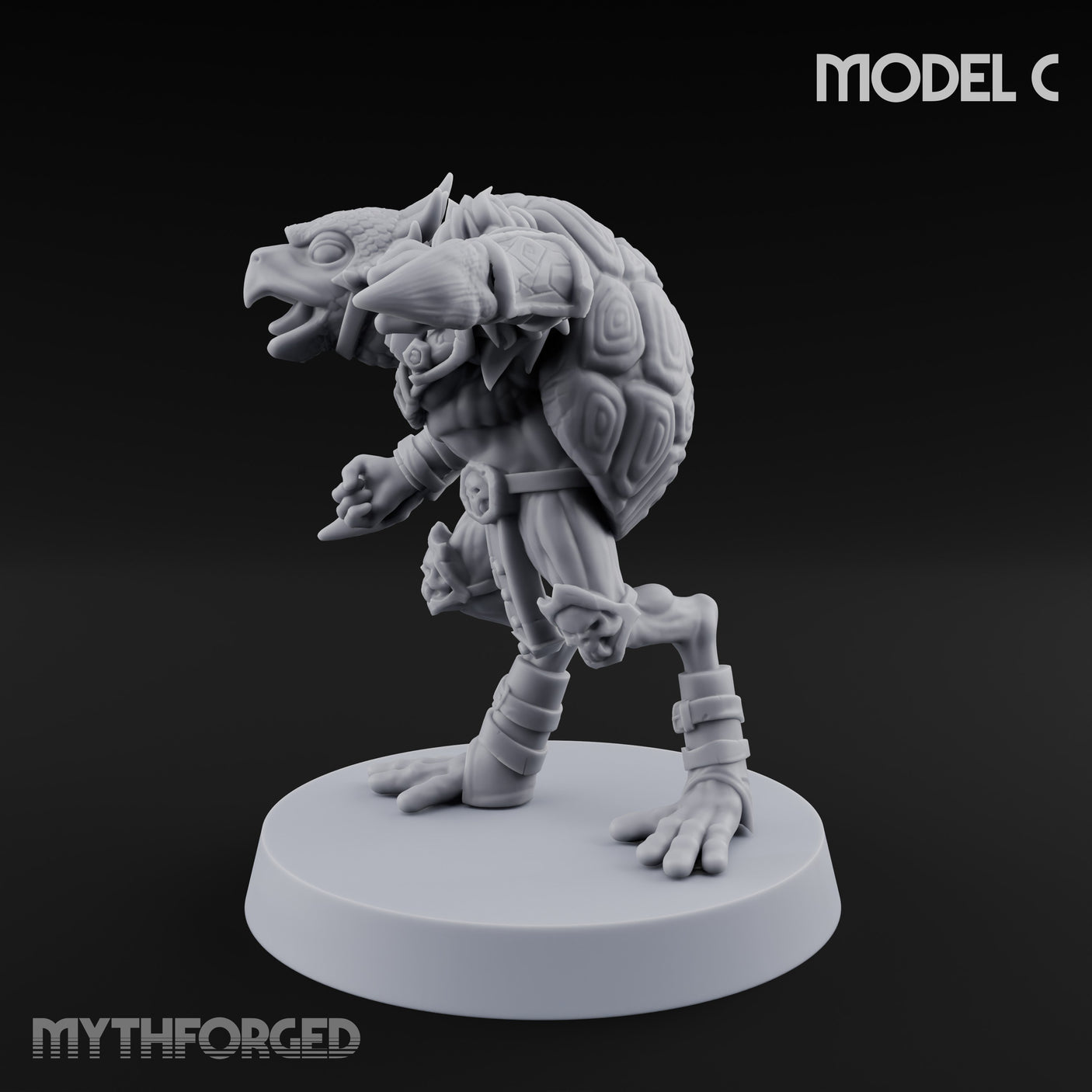 Shell Shocked Brawling Tortle Fighter C gallery 7