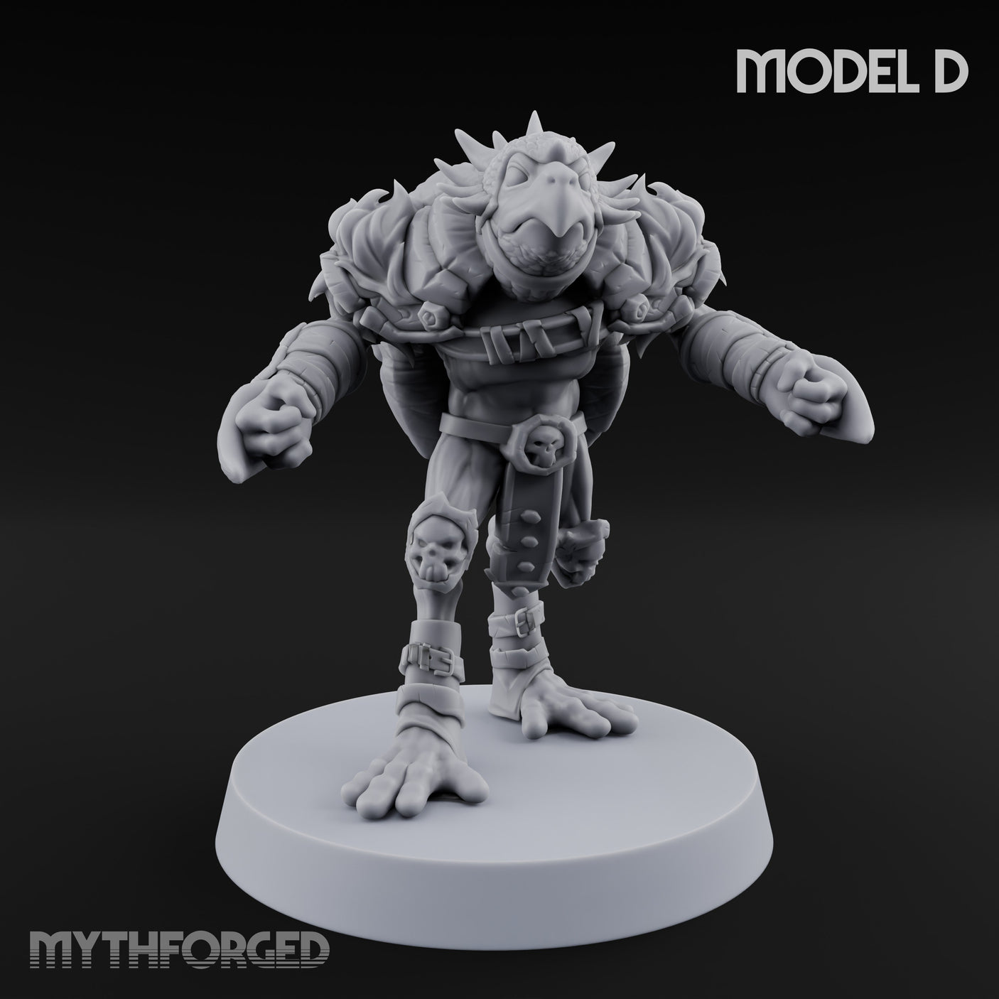 Shell Shocked Brawling Tortle Fighter D gallery 1