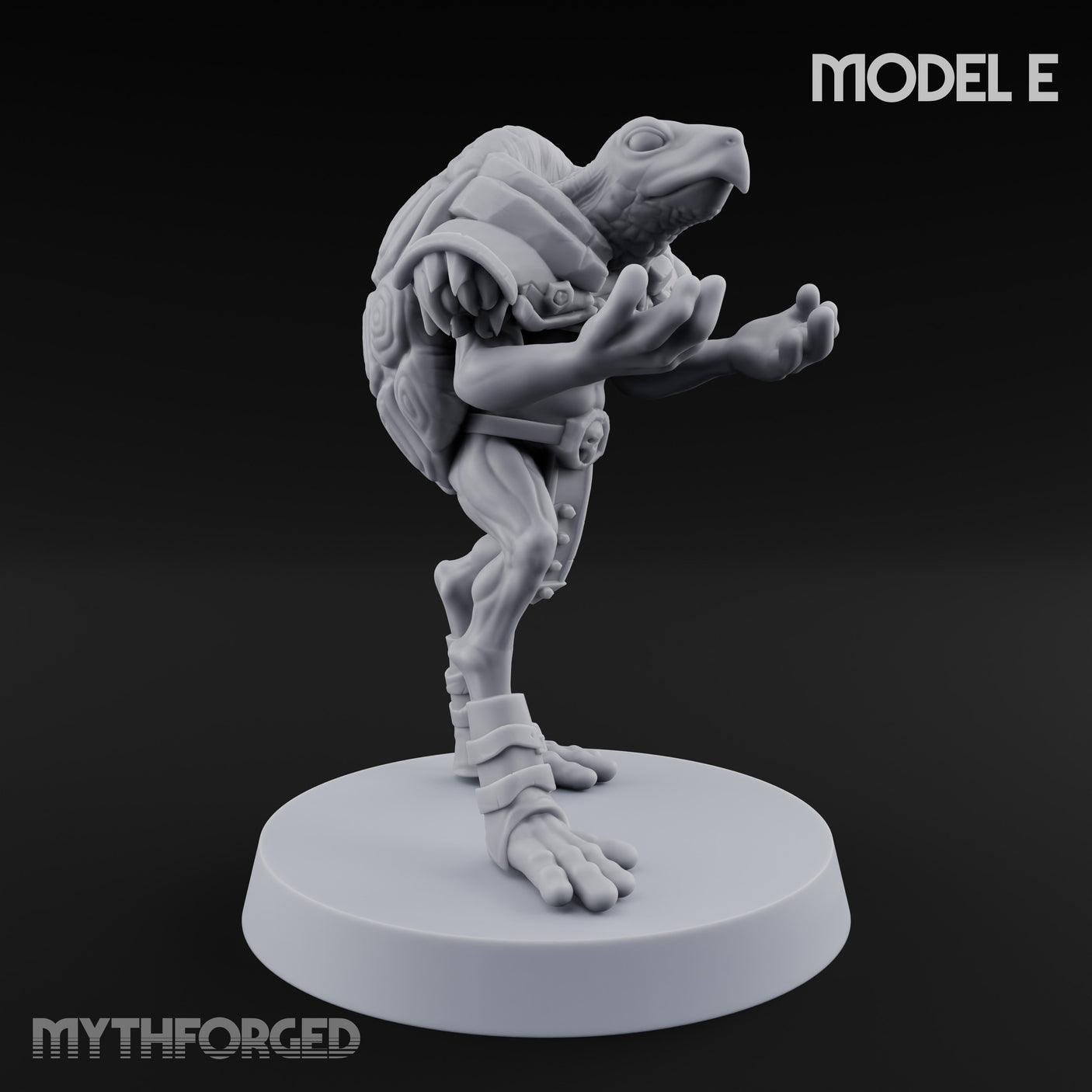 Shell Shocked Brawling Tortle Fighter E gallery 3