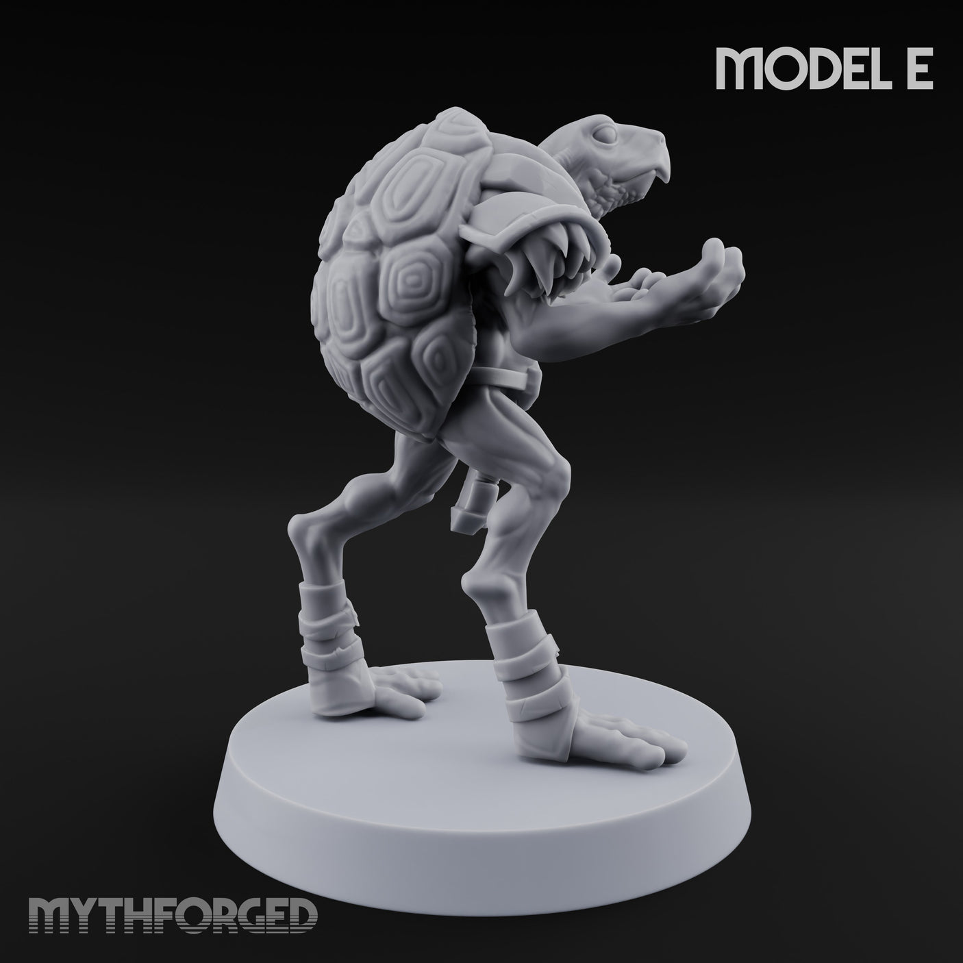 Shell Shocked Brawling Tortle Fighter E gallery 4