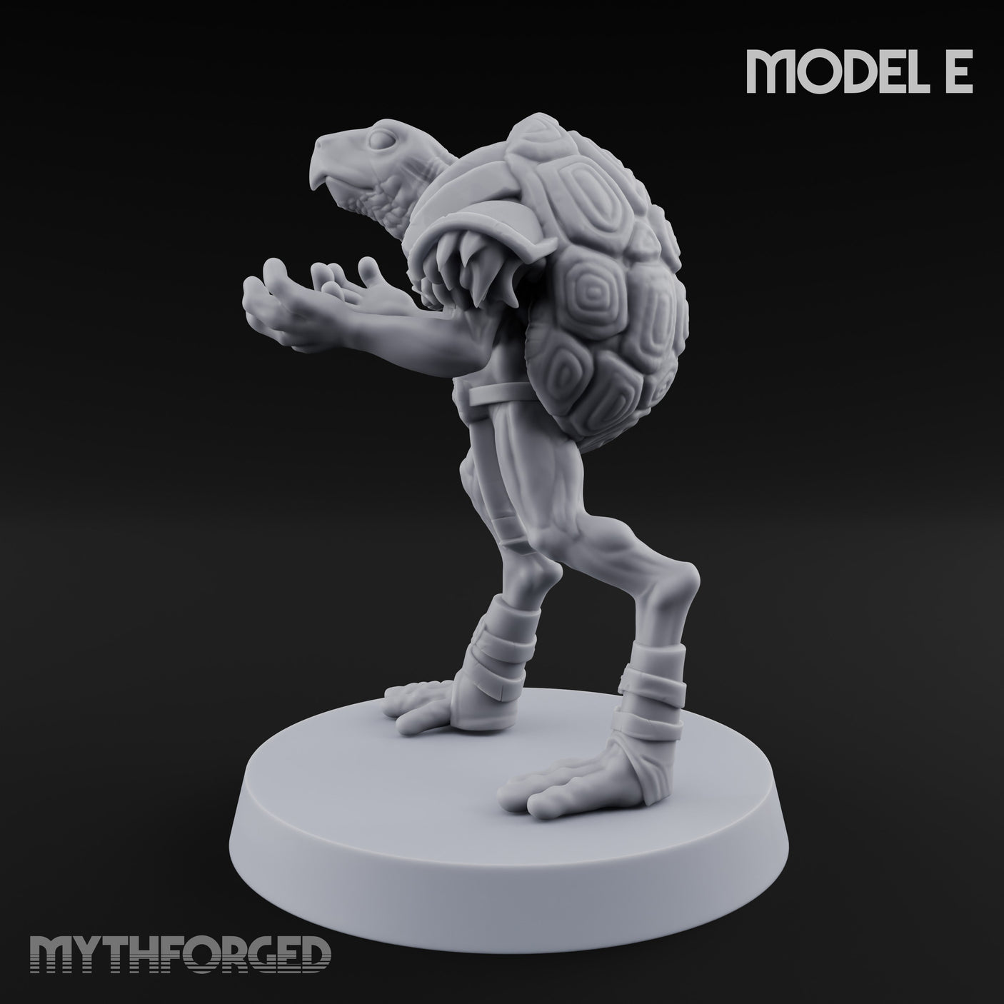 Shell Shocked Brawling Tortle Fighter E gallery 7