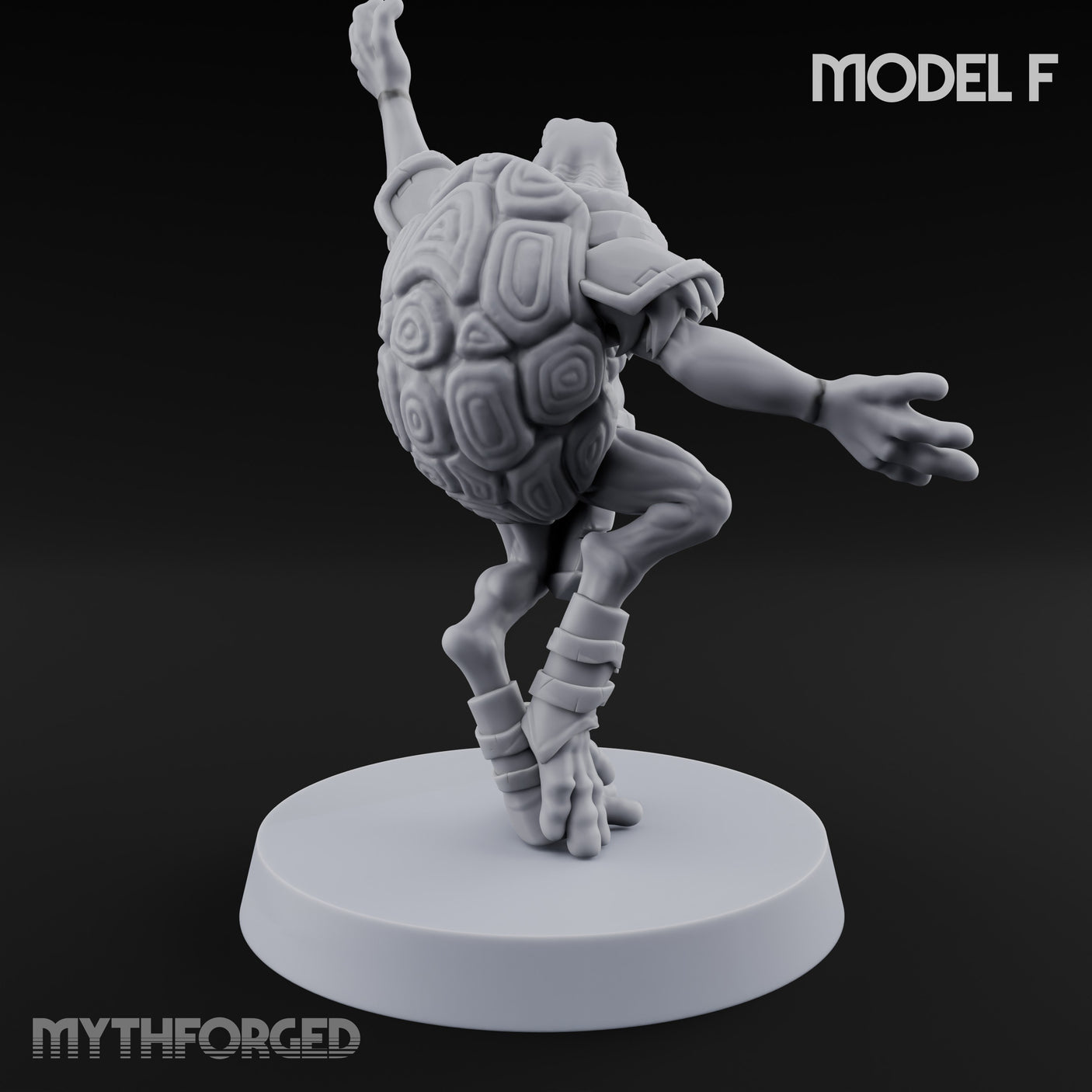 Shell Shocked Brawling Tortle Fighter F gallery 4