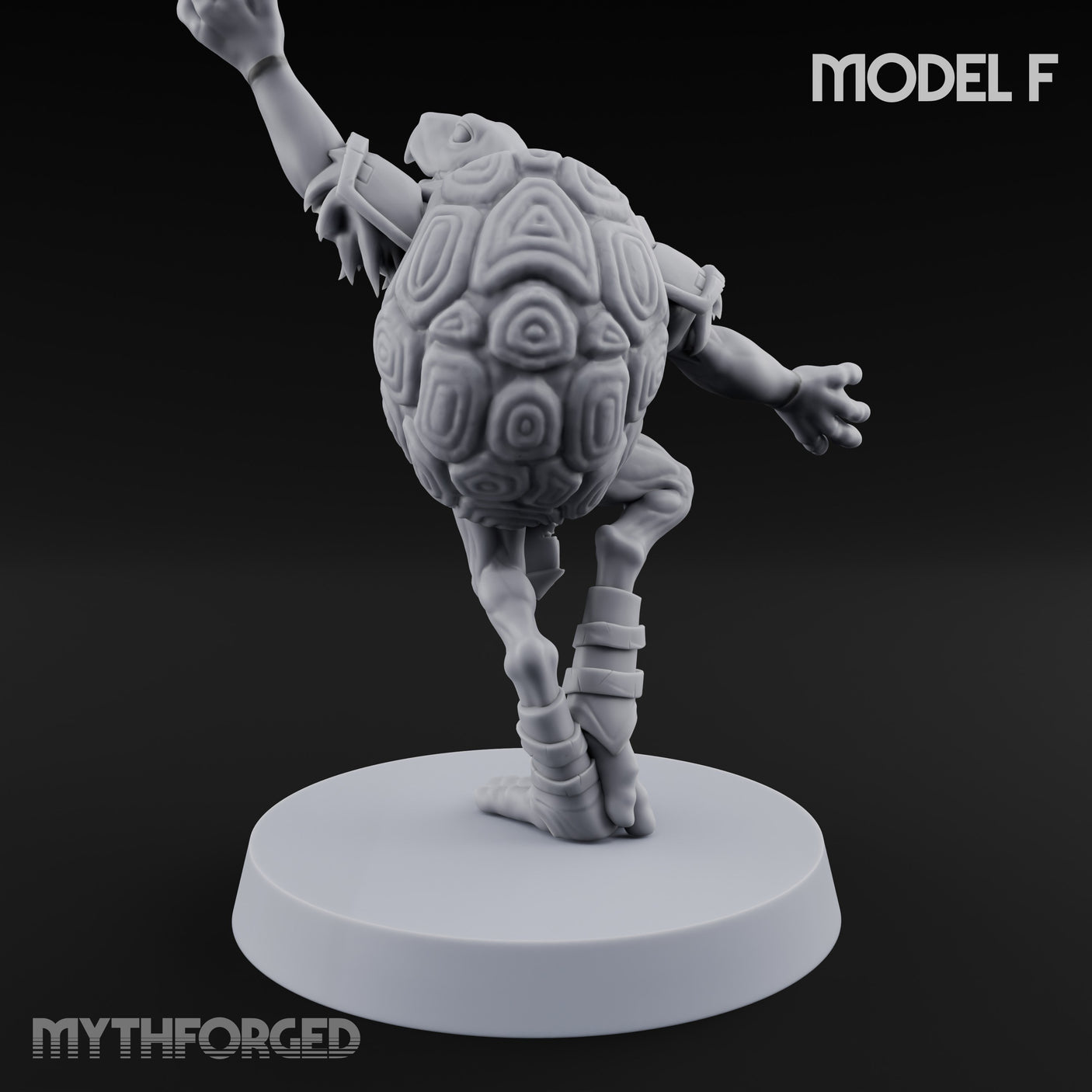 Shell Shocked Brawling Tortle Fighter F gallery 5