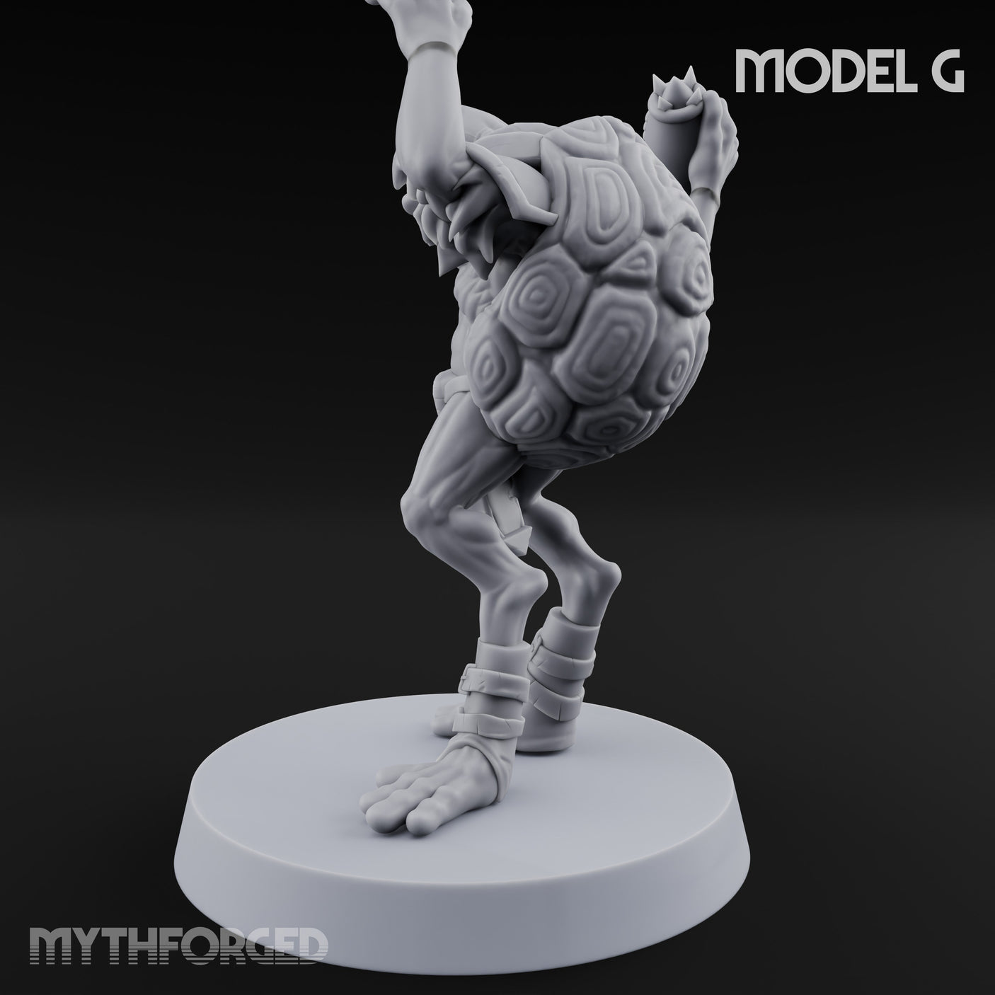 Shell Shocked Brawling Tortle Fighter G gallery 6