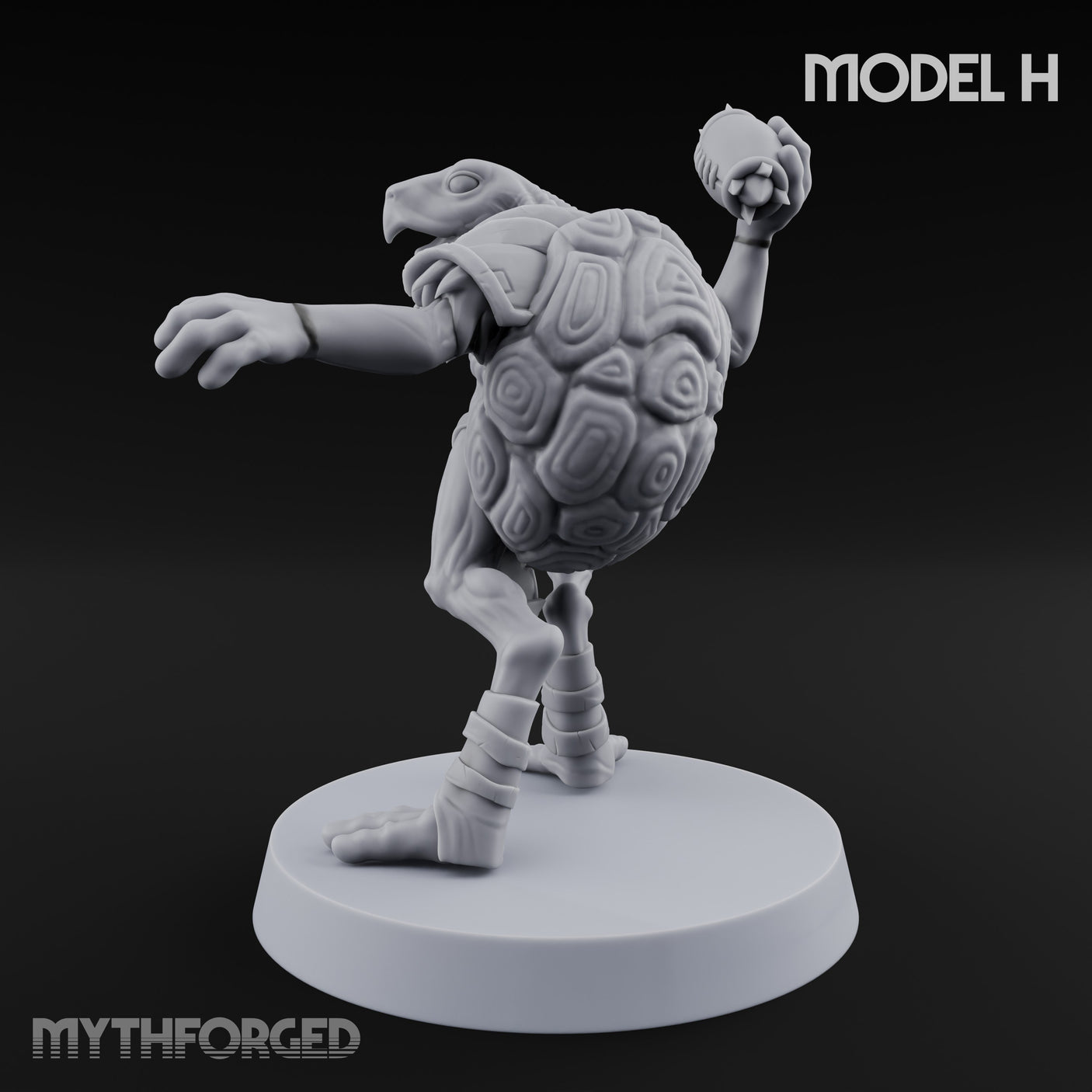 Shell Shocked Brawling Tortle Fighter H gallery 6