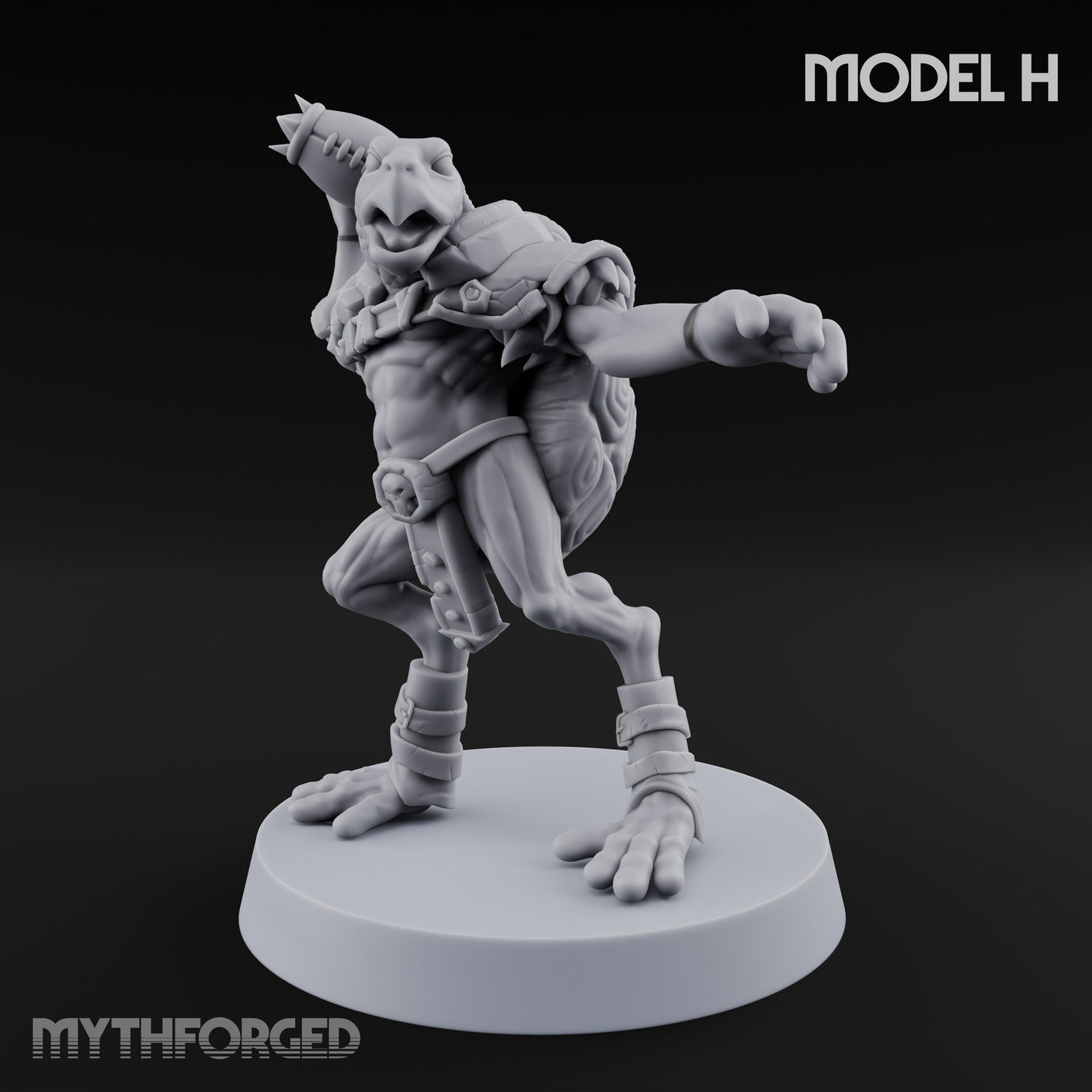 Shell Shocked Brawling Tortle Fighter H gallery 8