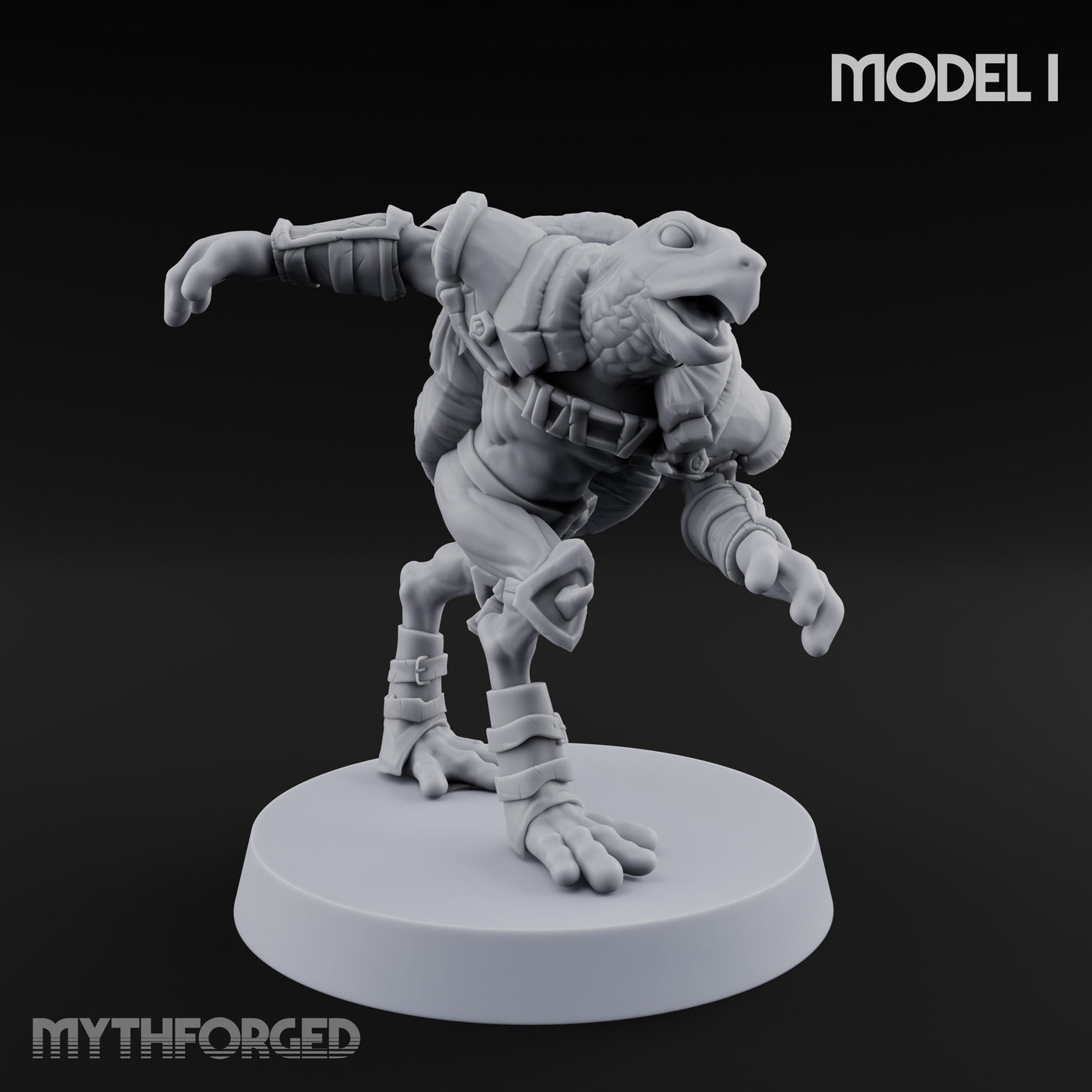 Shell Shocked Brawling Tortle Fighter I gallery 2