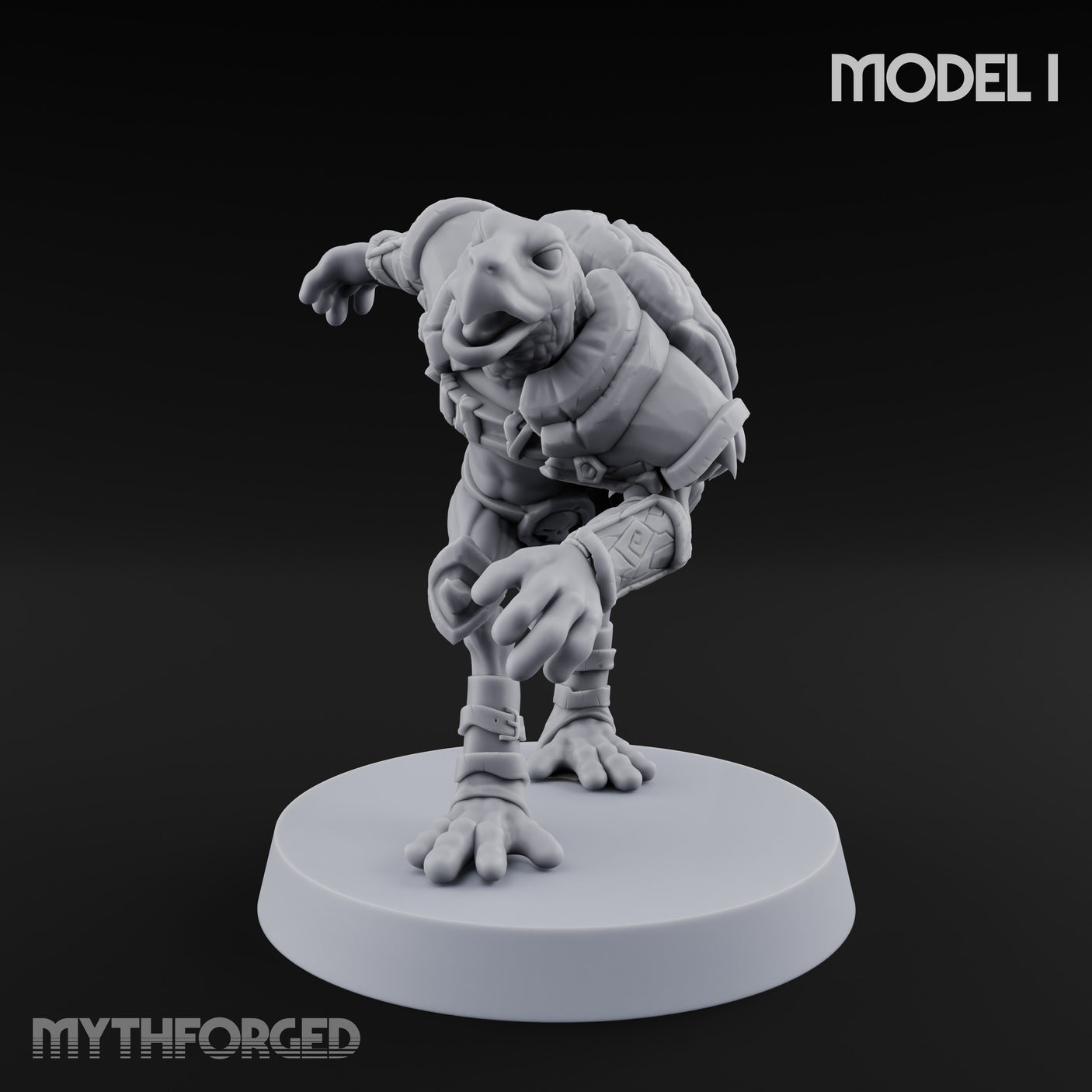 Shell Shocked Brawling Tortle Fighter I gallery 9