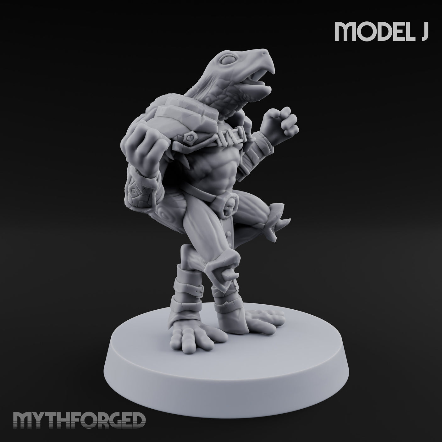 Shell Shocked Brawling Tortle Fighter J gallery 2