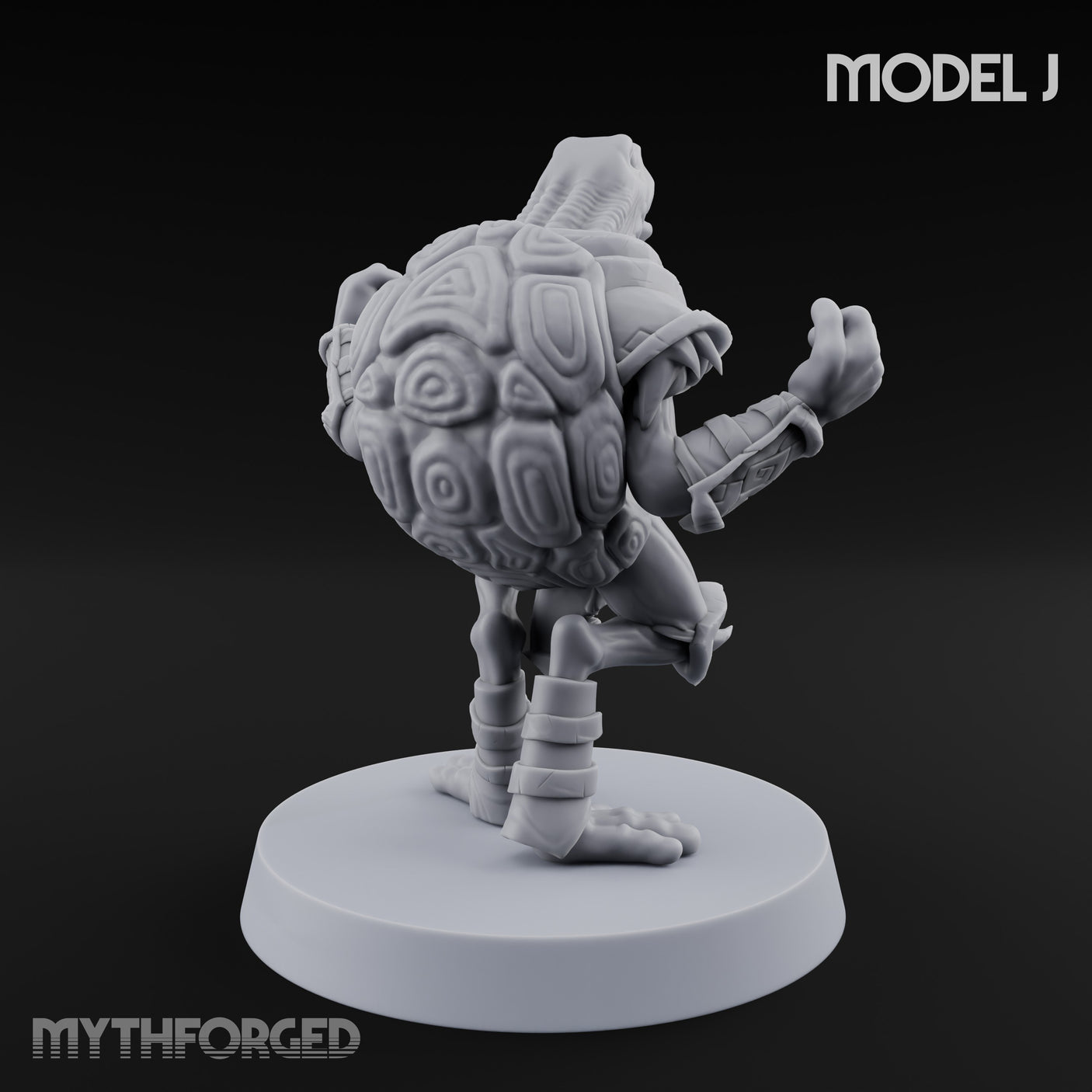 Shell Shocked Brawling Tortle Fighter J gallery 4