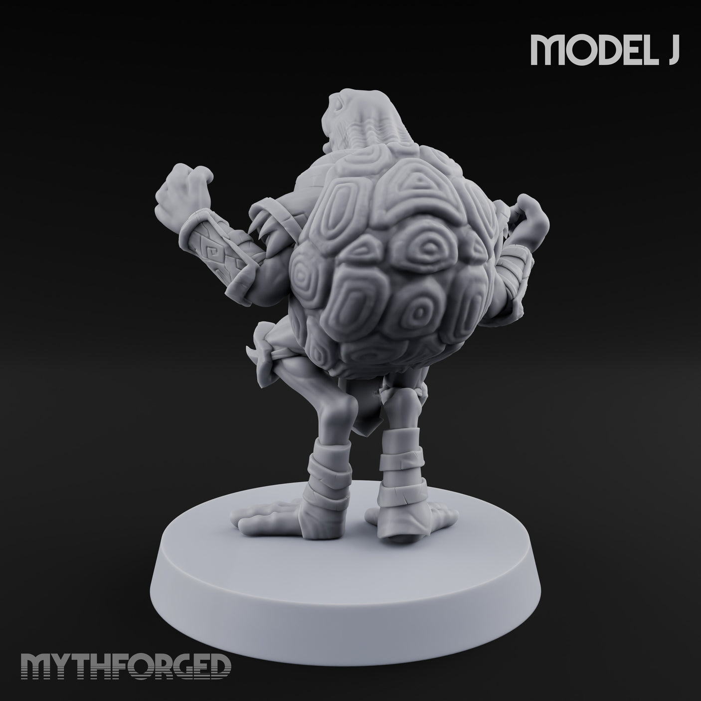 Shell Shocked Brawling Tortle Fighter J gallery 5