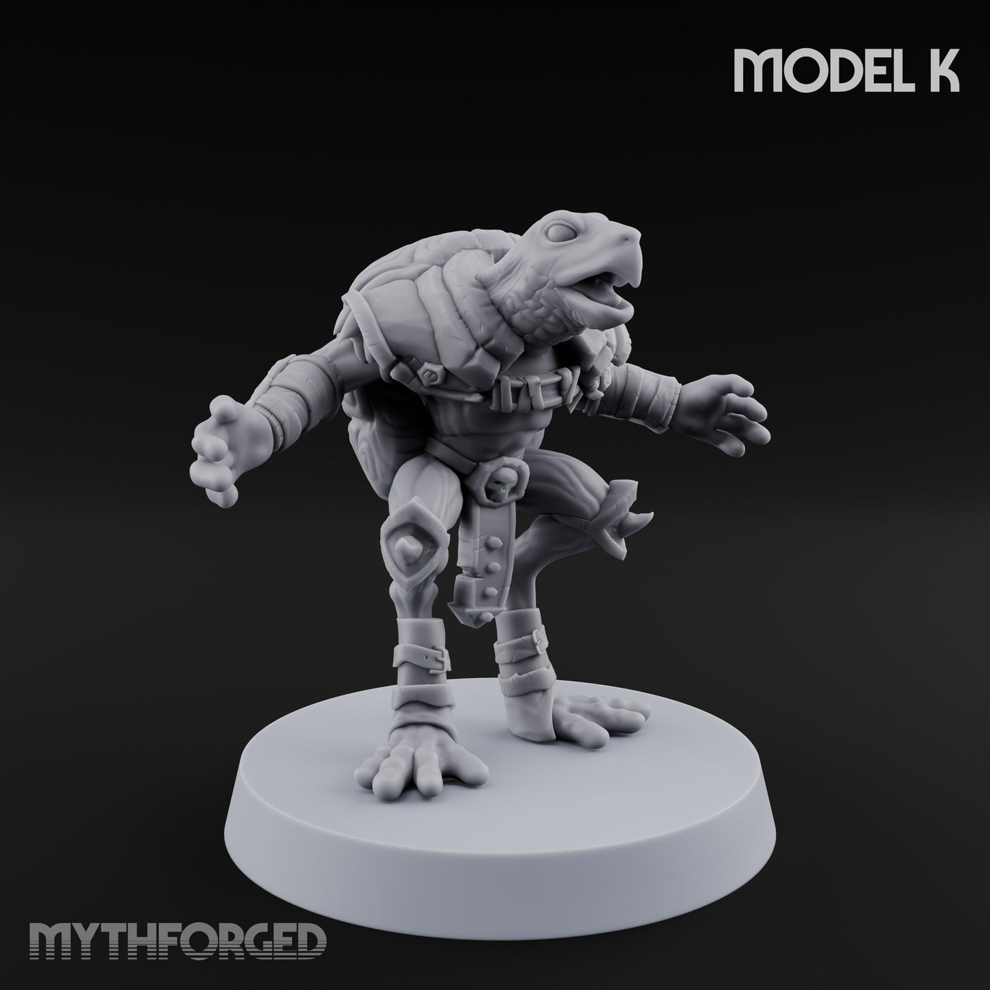 Shell Shocked Brawling Tortle Fighter K gallery 2