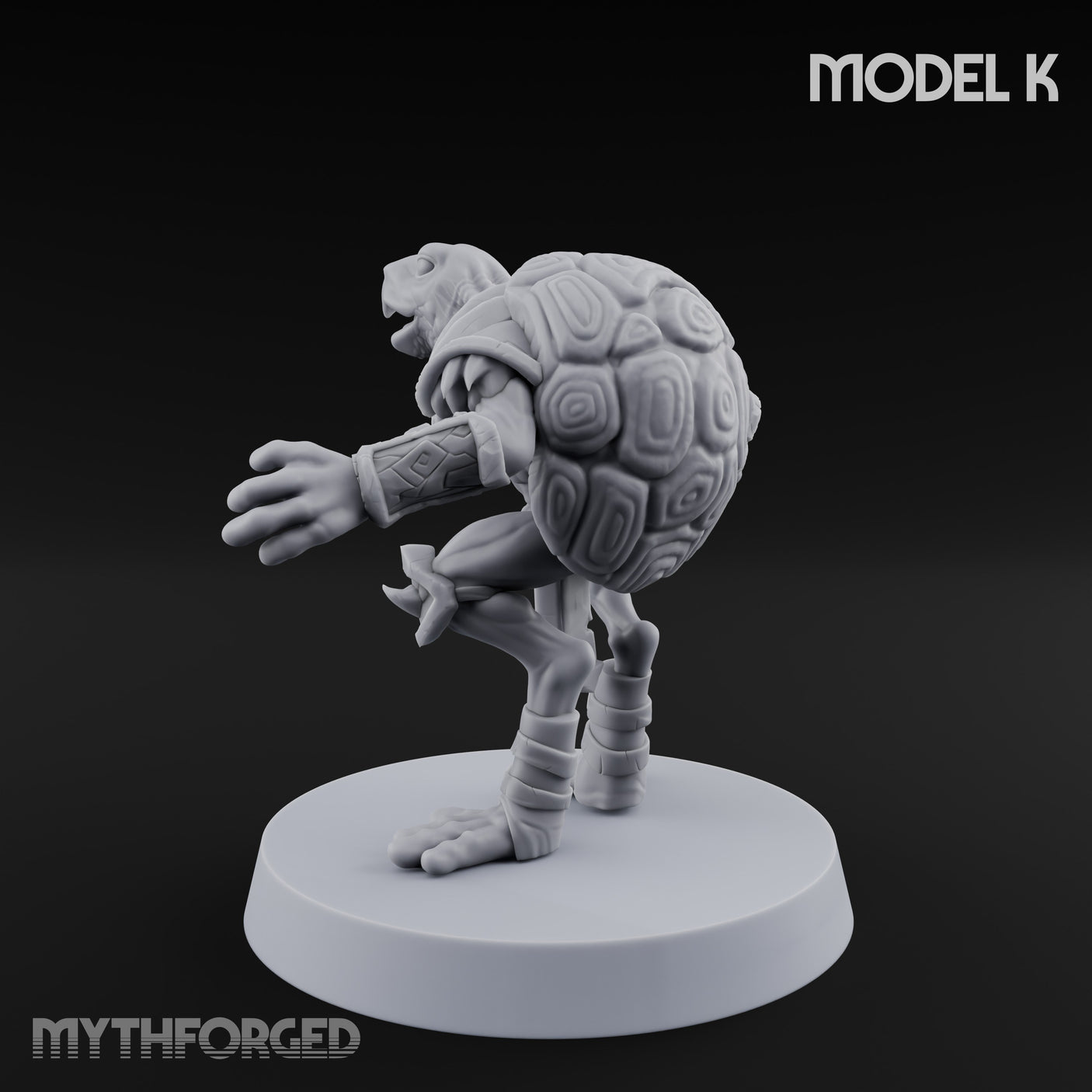 Shell Shocked Brawling Tortle Fighter K gallery 6