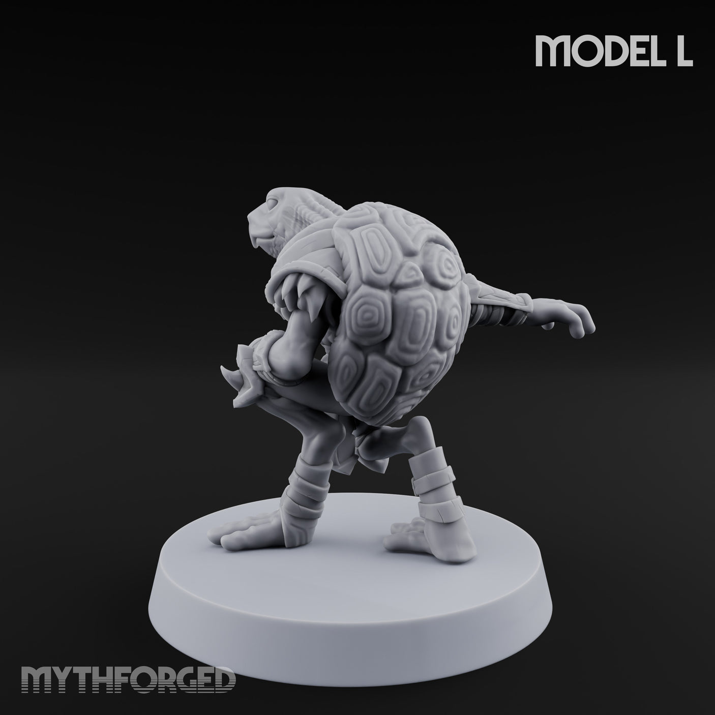 Shell Shocked Brawling Tortle Fighter L gallery 6