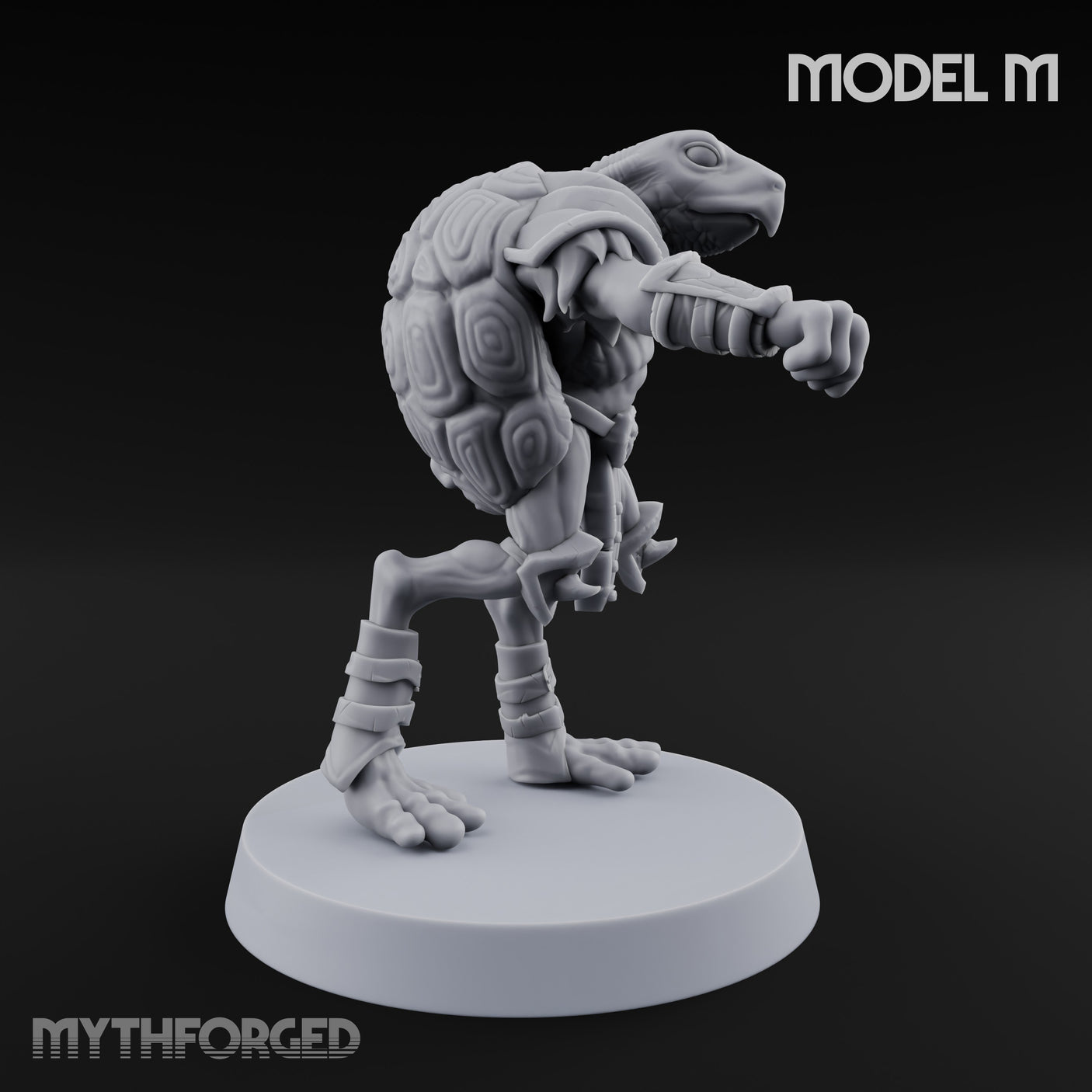Shell Shocked Brawling Tortle Fighter M gallery 4
