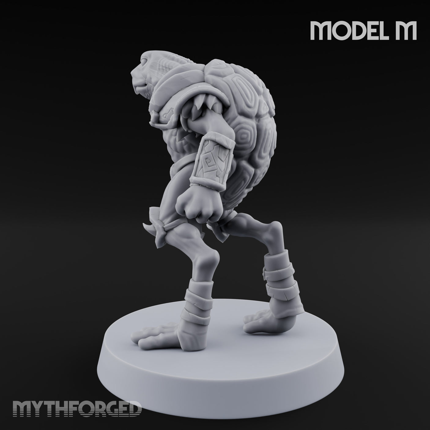 Shell Shocked Brawling Tortle Fighter M gallery 7