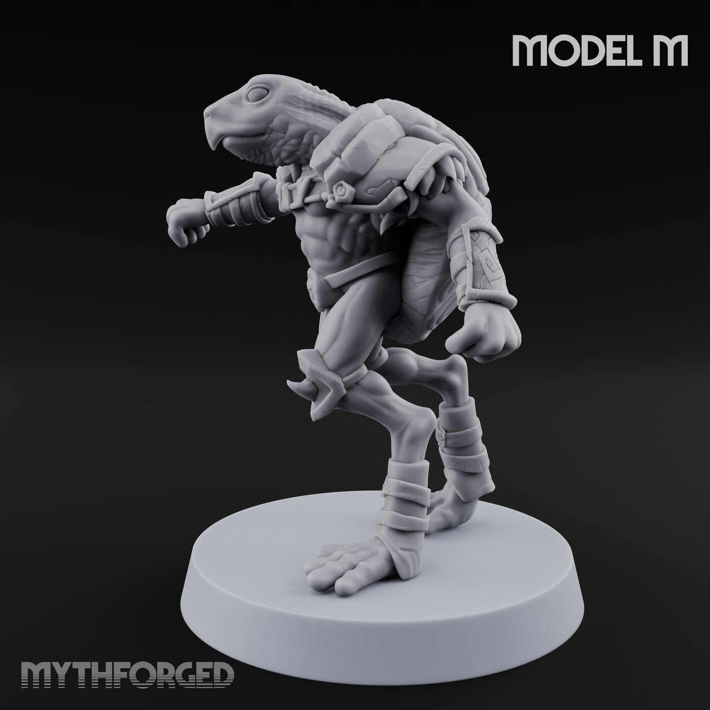 Shell Shocked Brawling Tortle Fighter M gallery 8