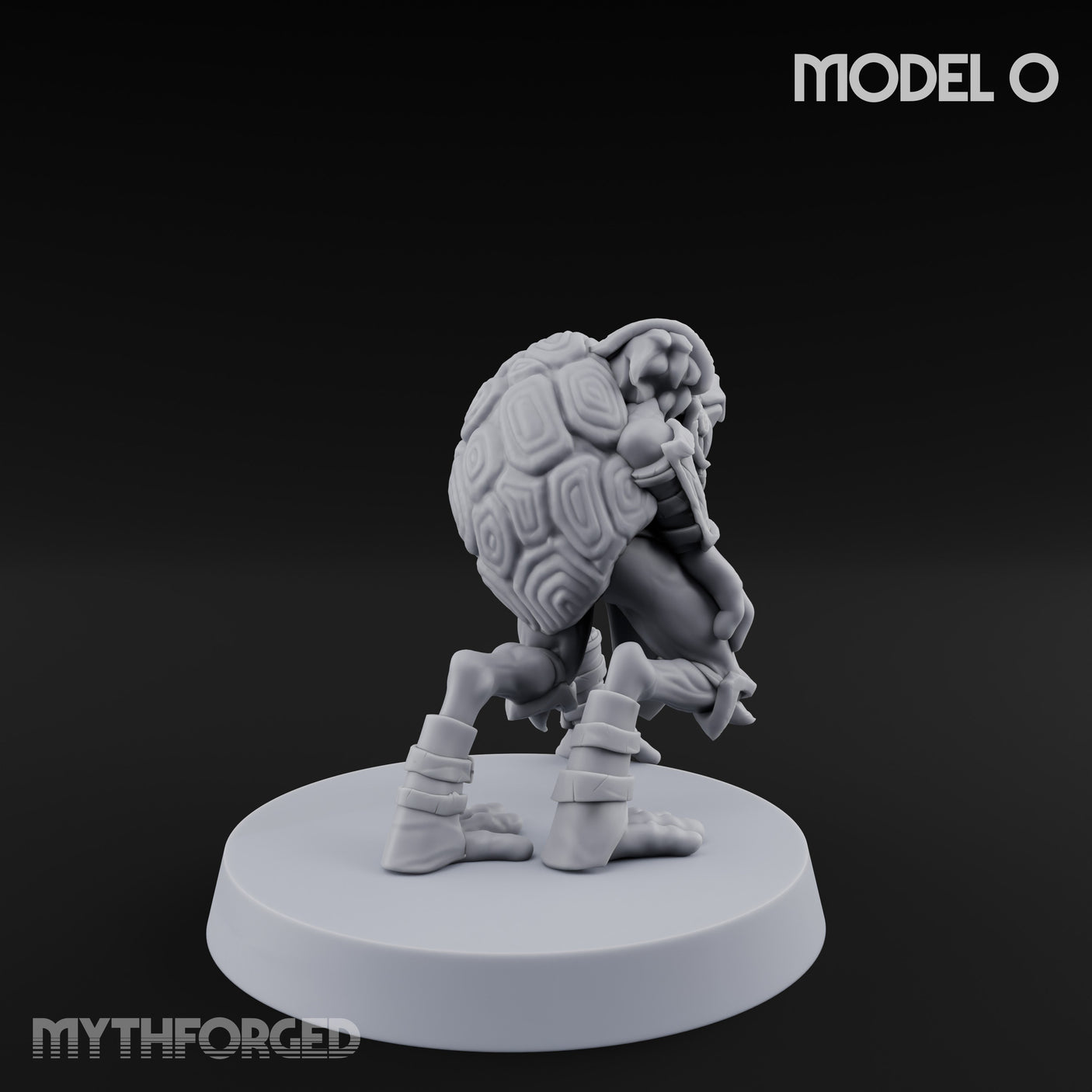 Shell Shocked Brawling Tortle Fighter O gallery 4