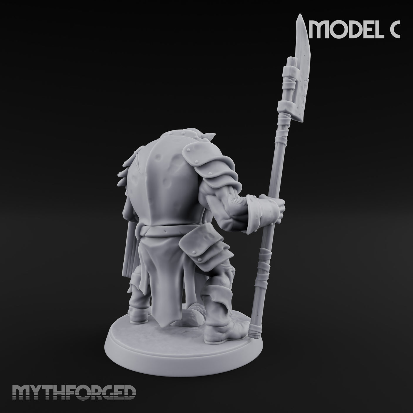 Shield Bearing Warband Pig Orc Warrior C gallery 10