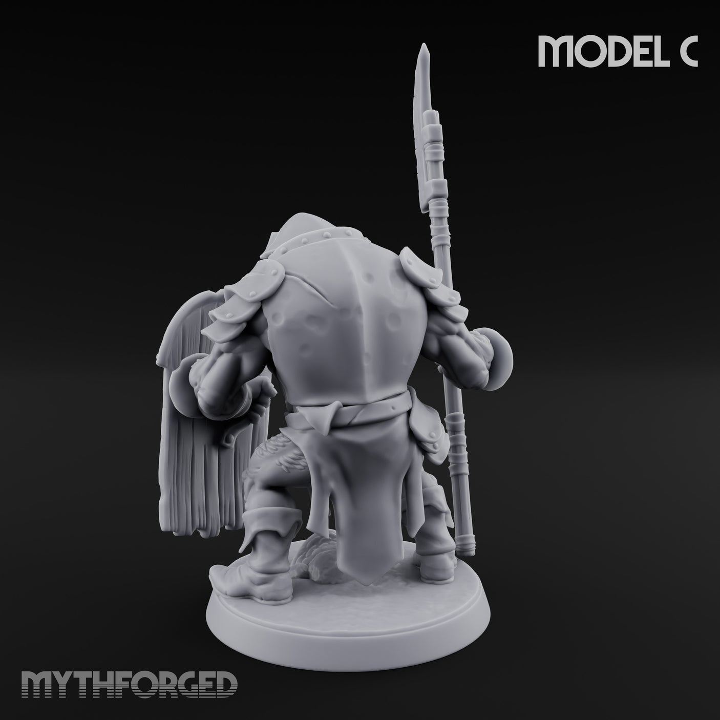 Shield Bearing Warband Pig Orc Warrior C gallery 11