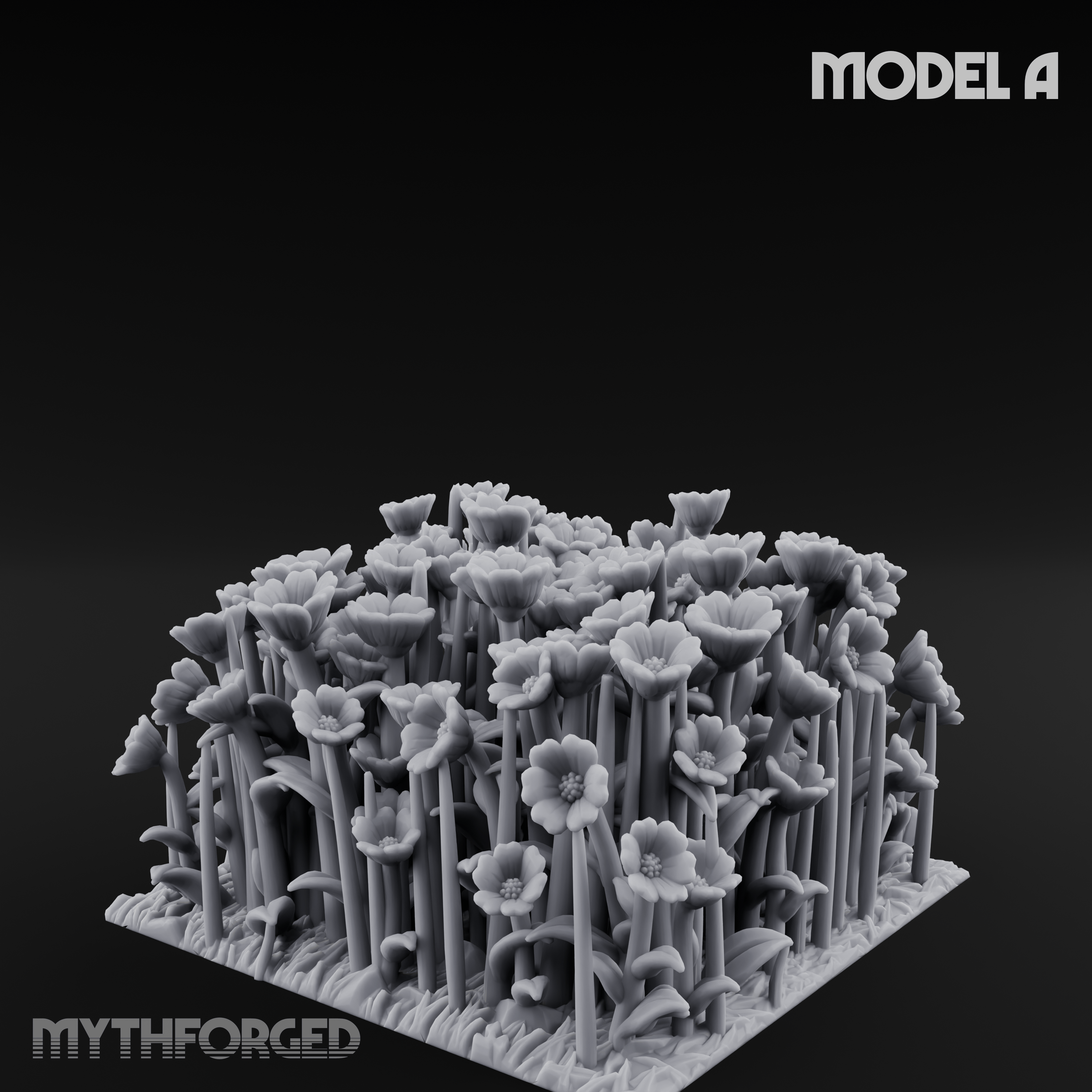 Cultivated Wildflower Meadows A