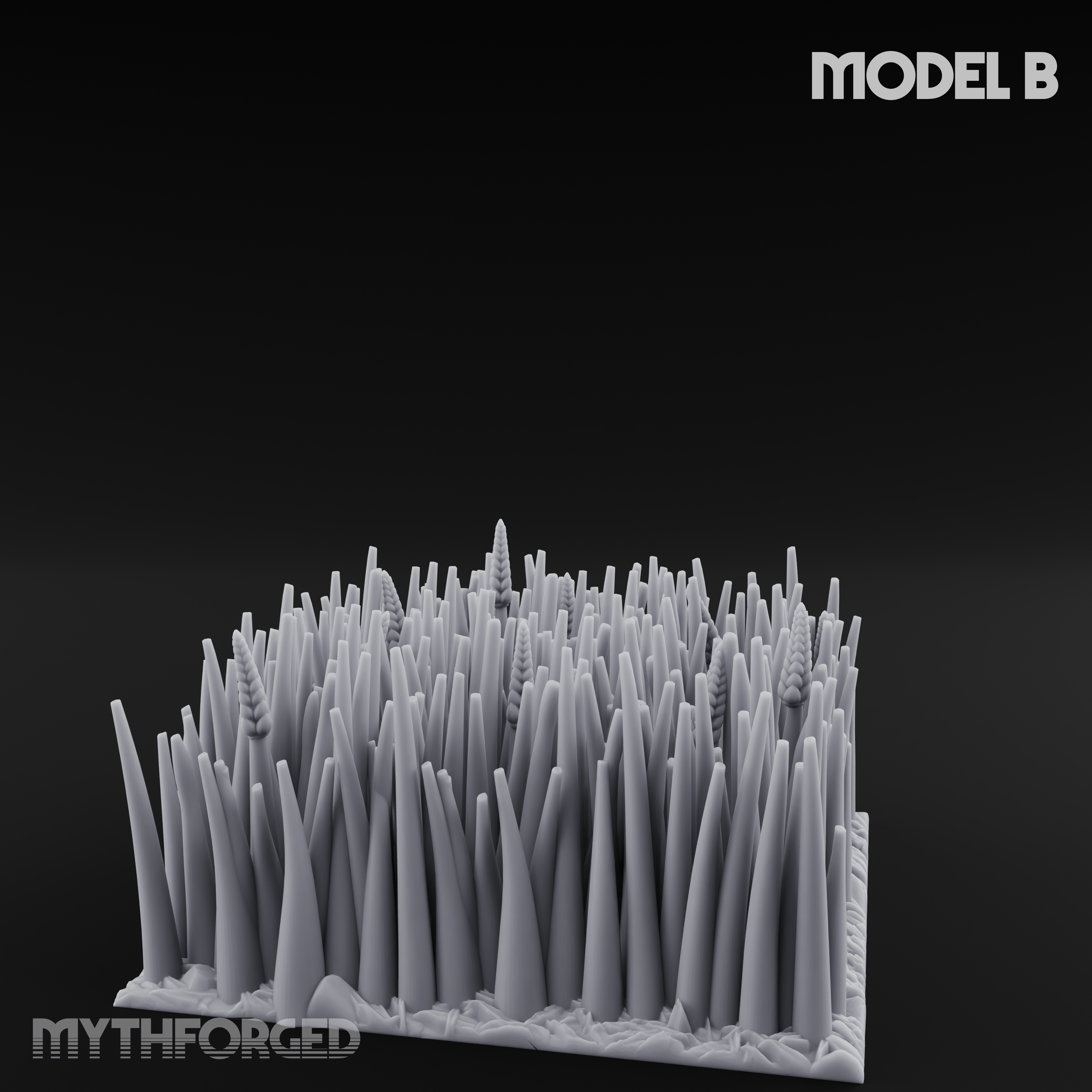 Cultivated Wildflower Meadows B