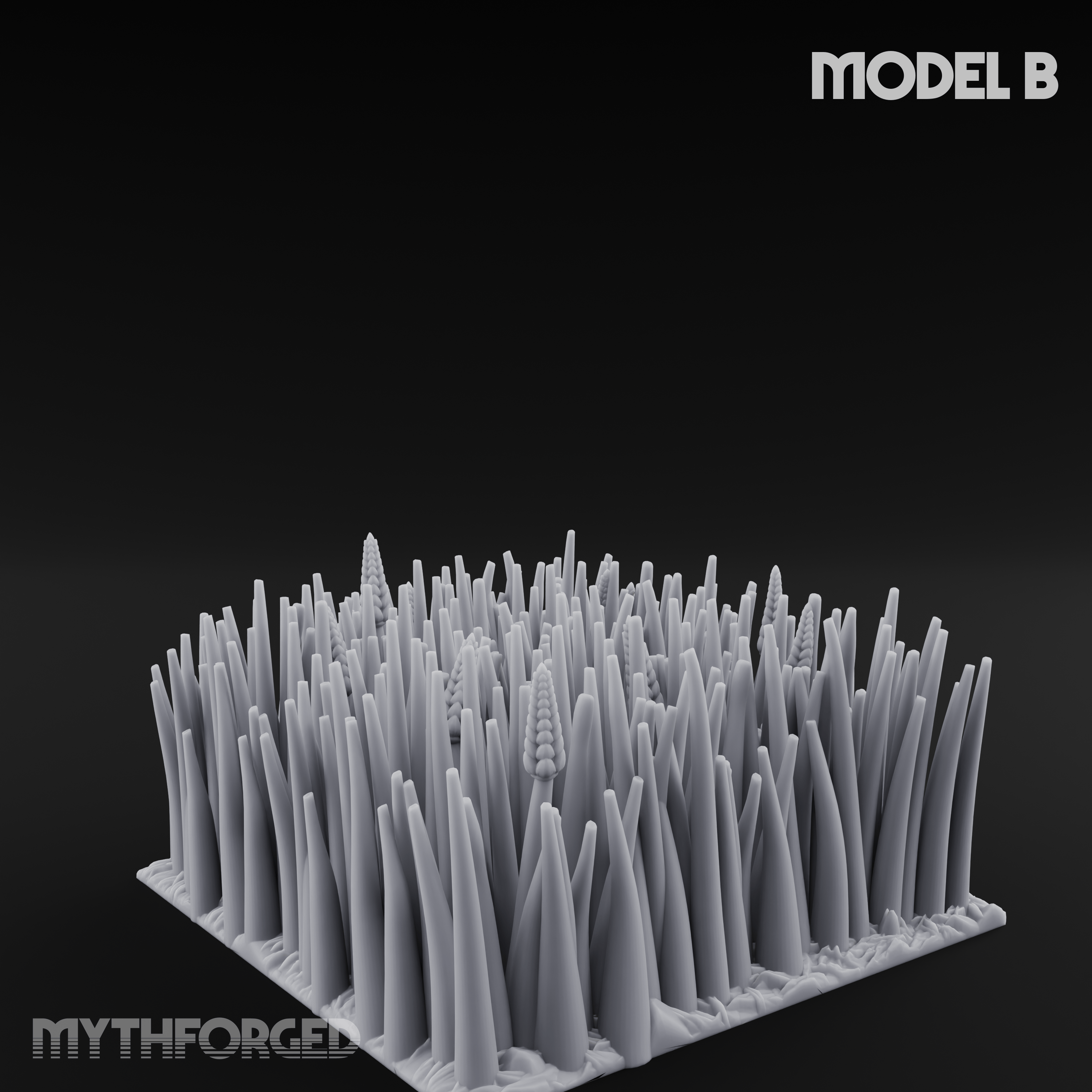 Cultivated Wildflower Meadows B