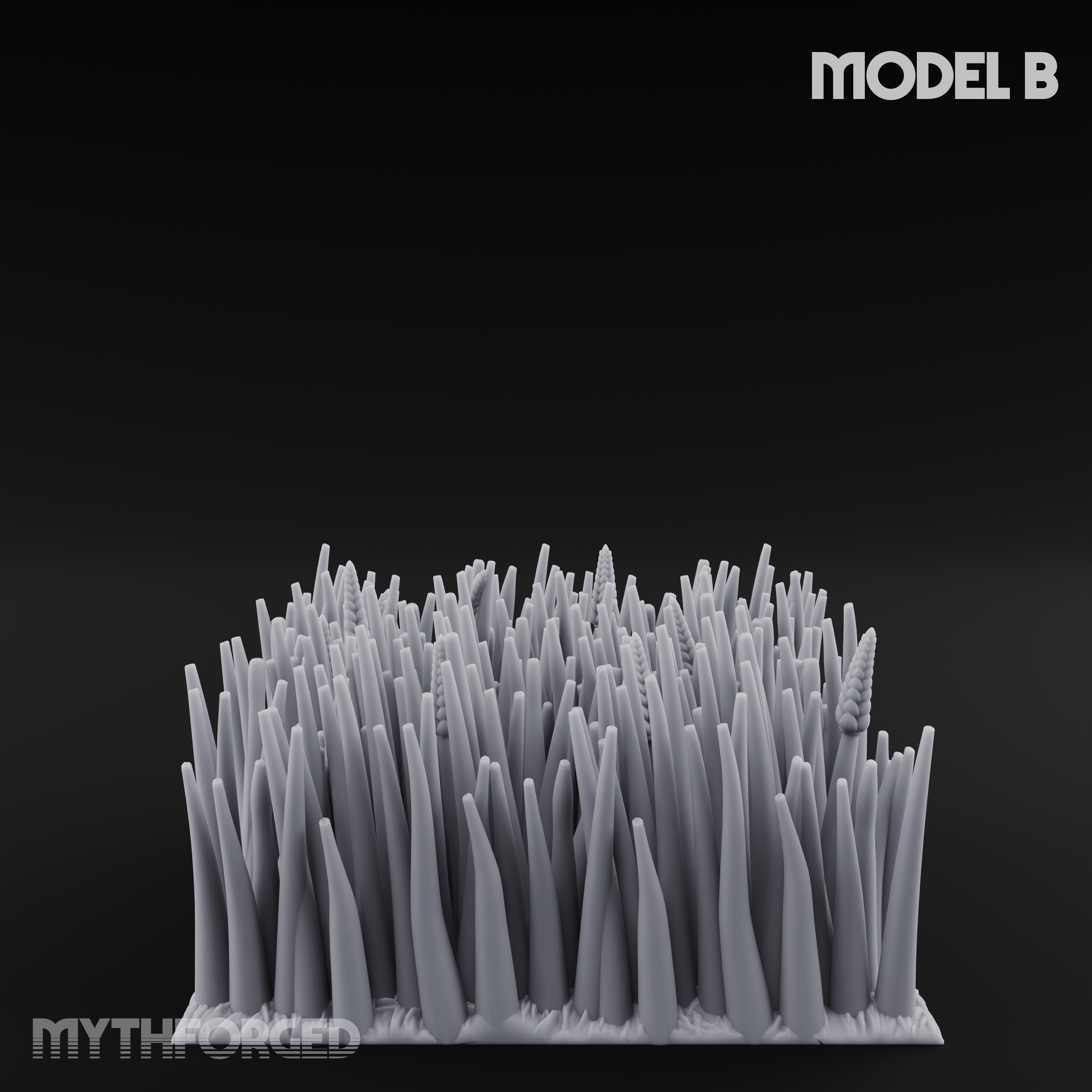 Cultivated Wildflower Meadows B